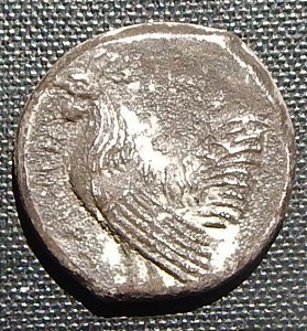 DSCN5488.JPG