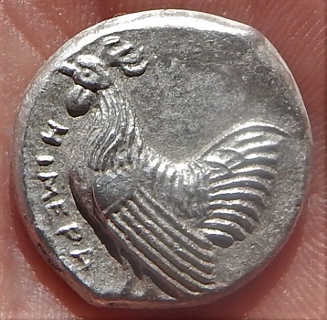 DSCN5503.JPG