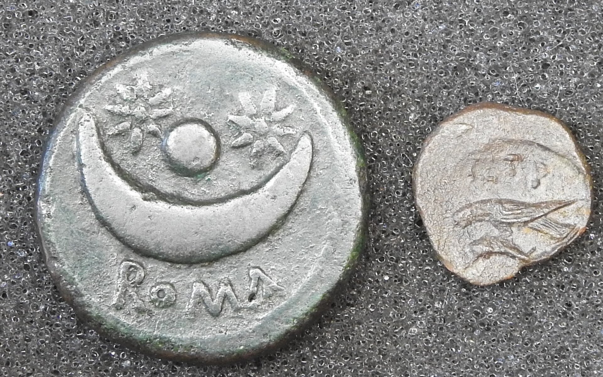 DSCN5712.JPG