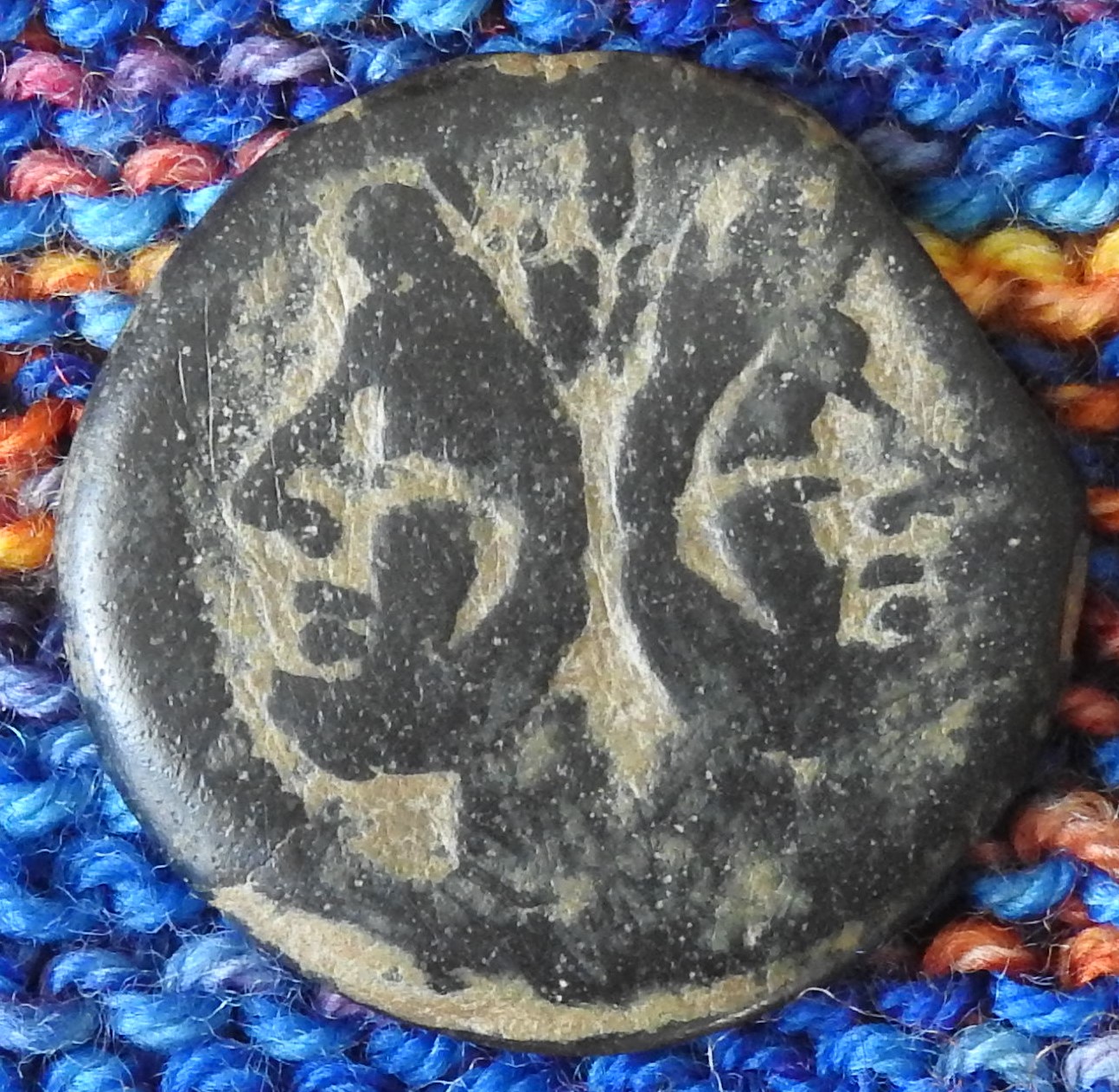DSCN5775.JPG
