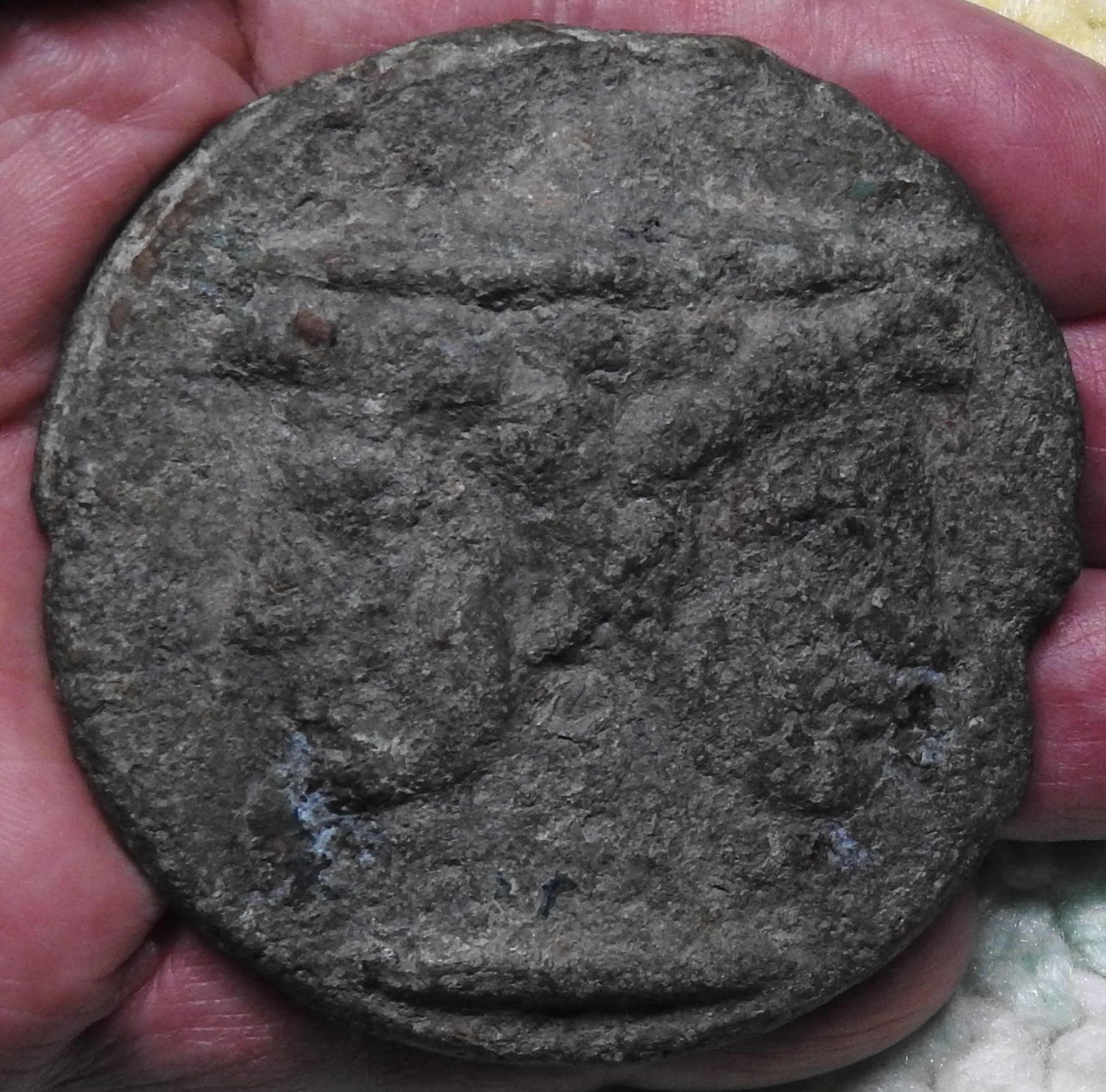 DSCN5908.JPG