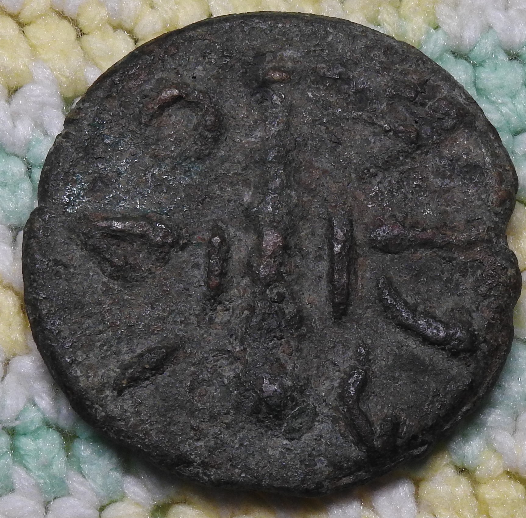 DSCN5911.JPG