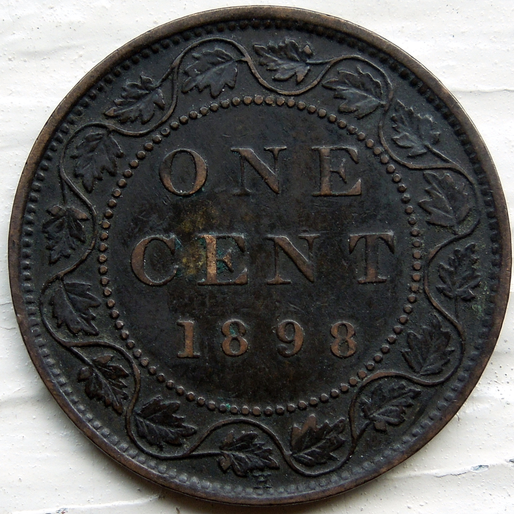 DSCN6023.JPG