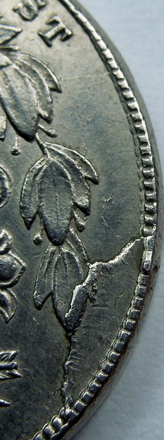 DSCN6155.JPG
