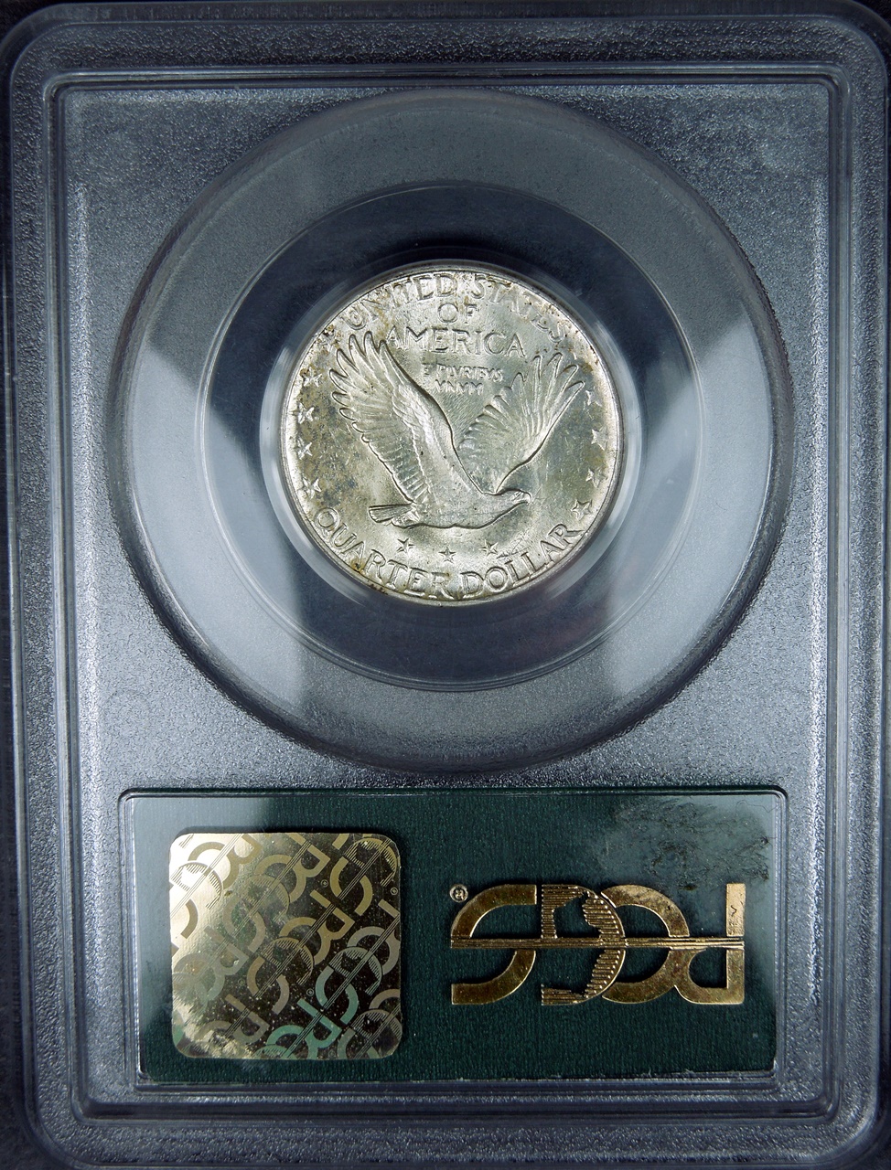 DSCN6216.JPG