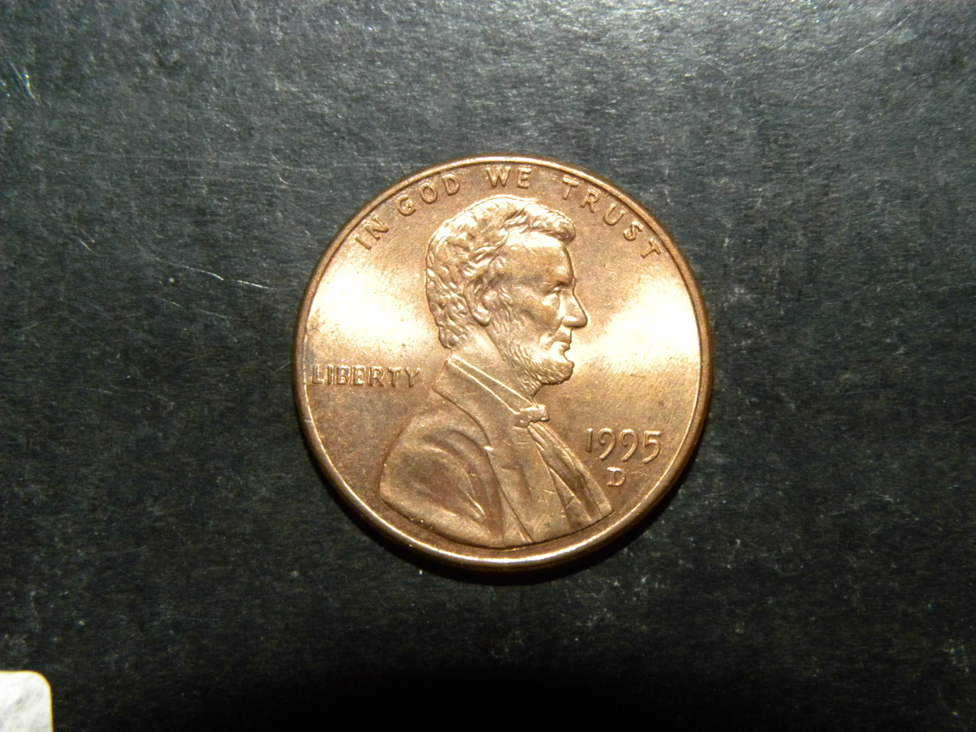 DSCN6520.JPG