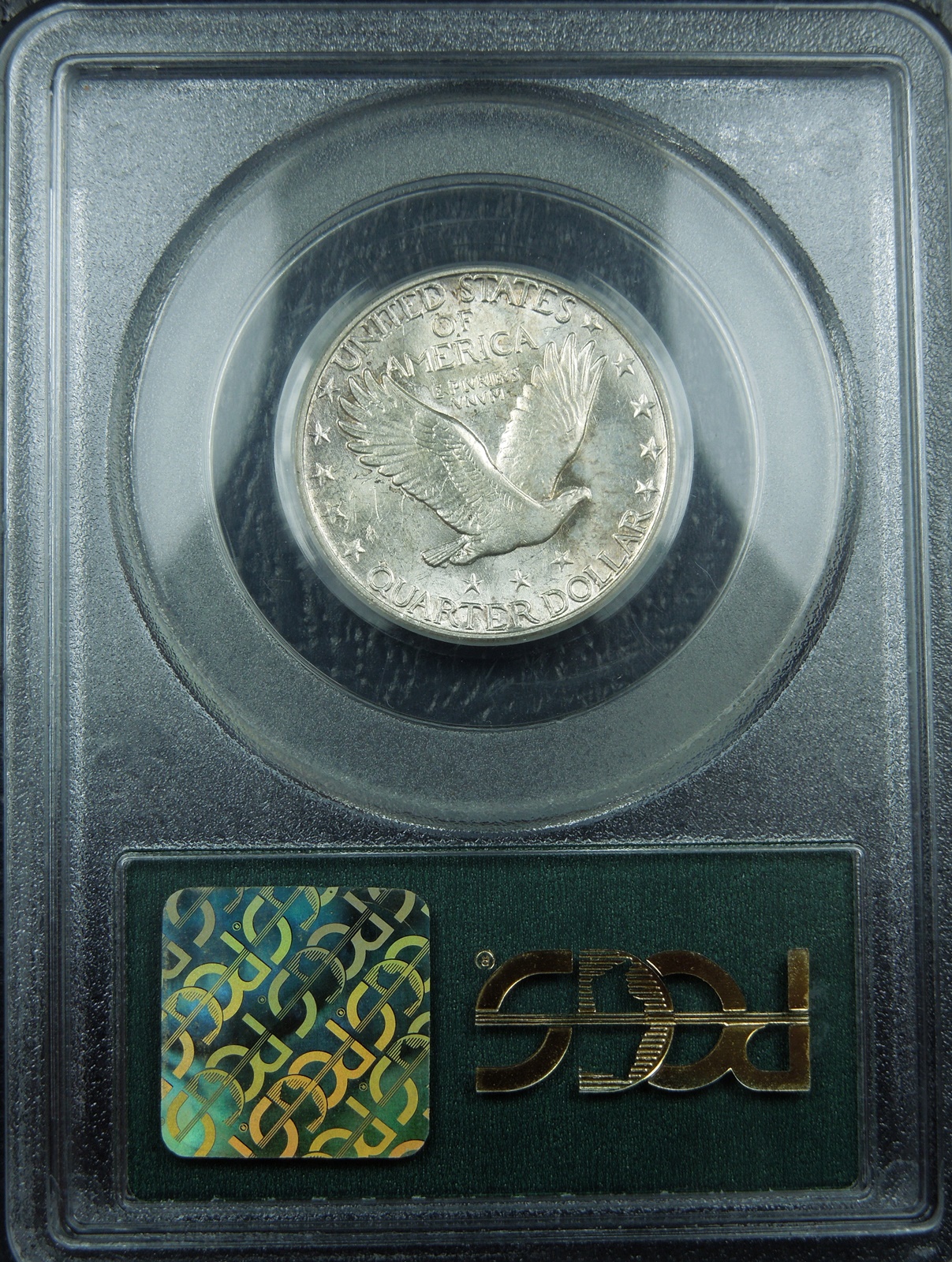 DSCN6587.JPG