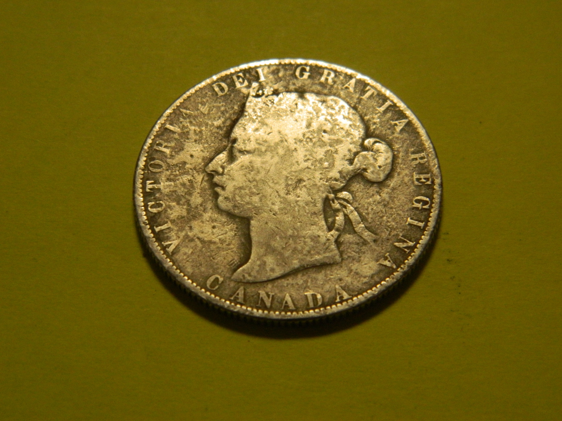 DSCN6619.JPG