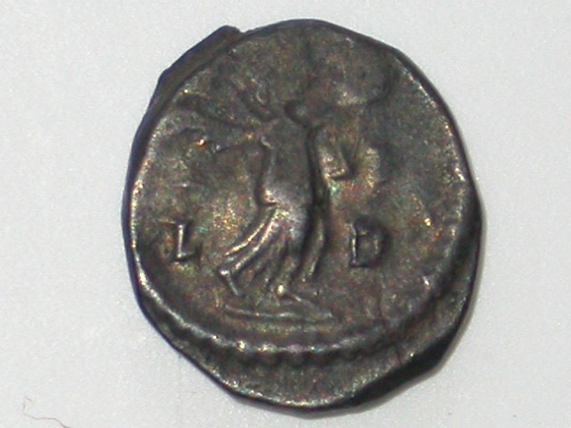 DSCN6652.jpg