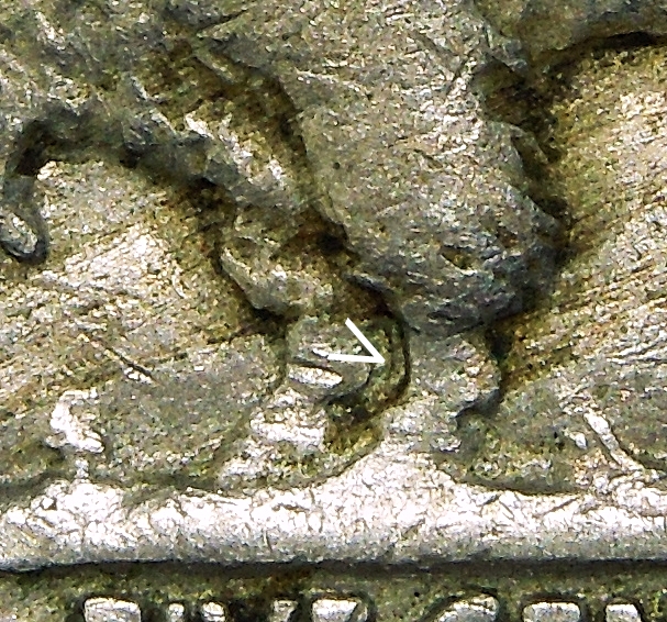 DSCN6754a.JPG