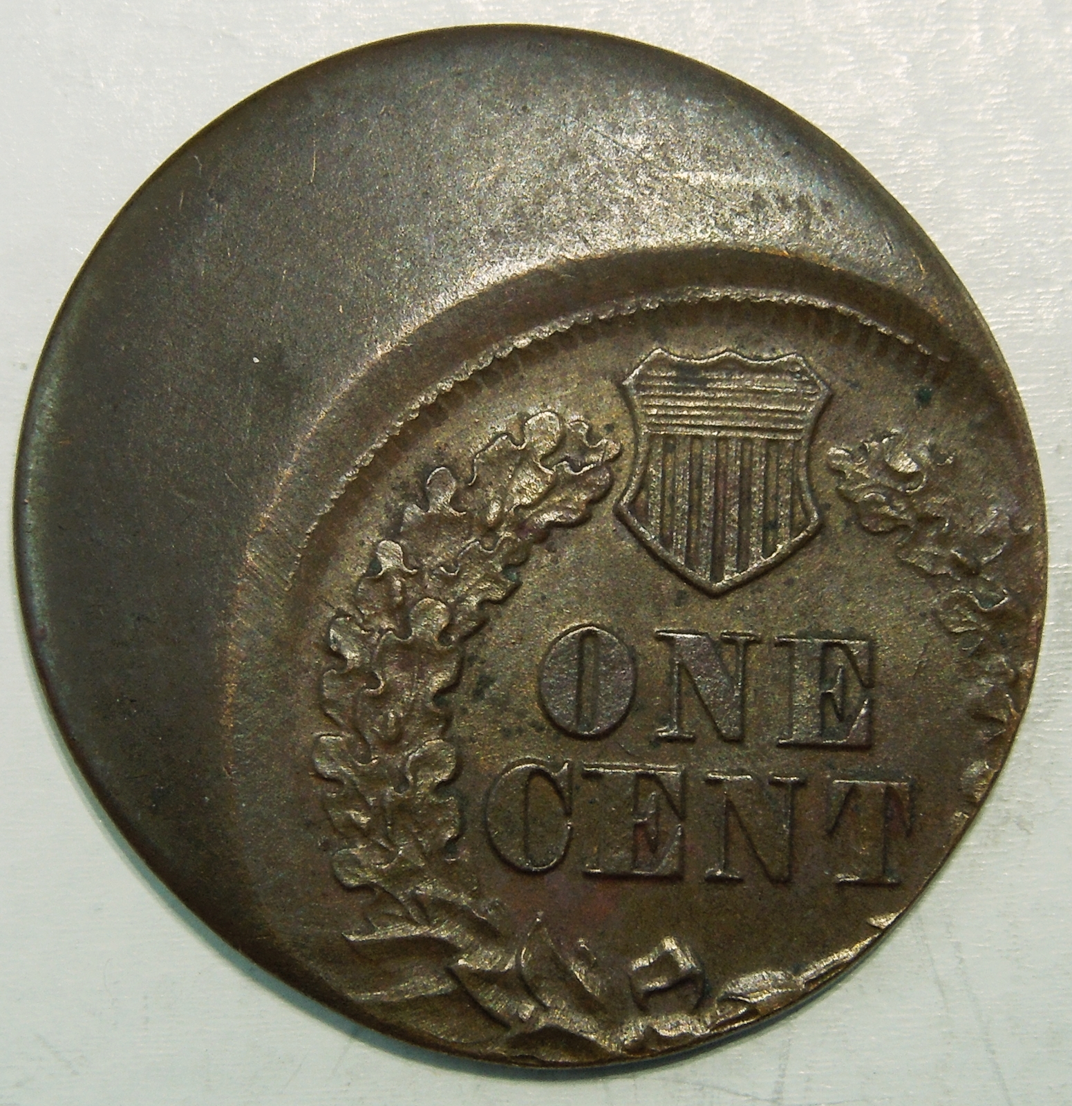 DSCN6784.JPG