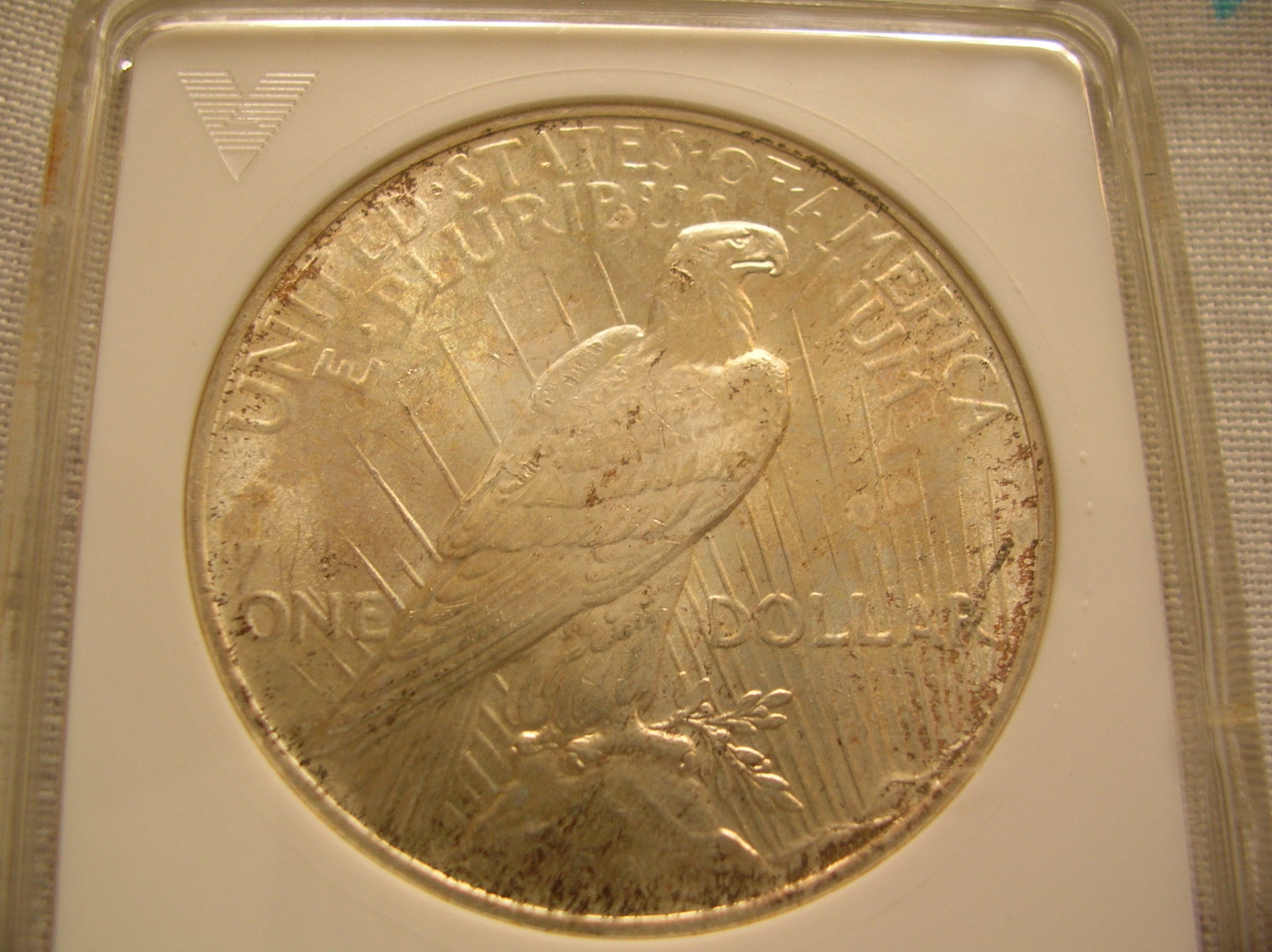 DSCN7088.JPG