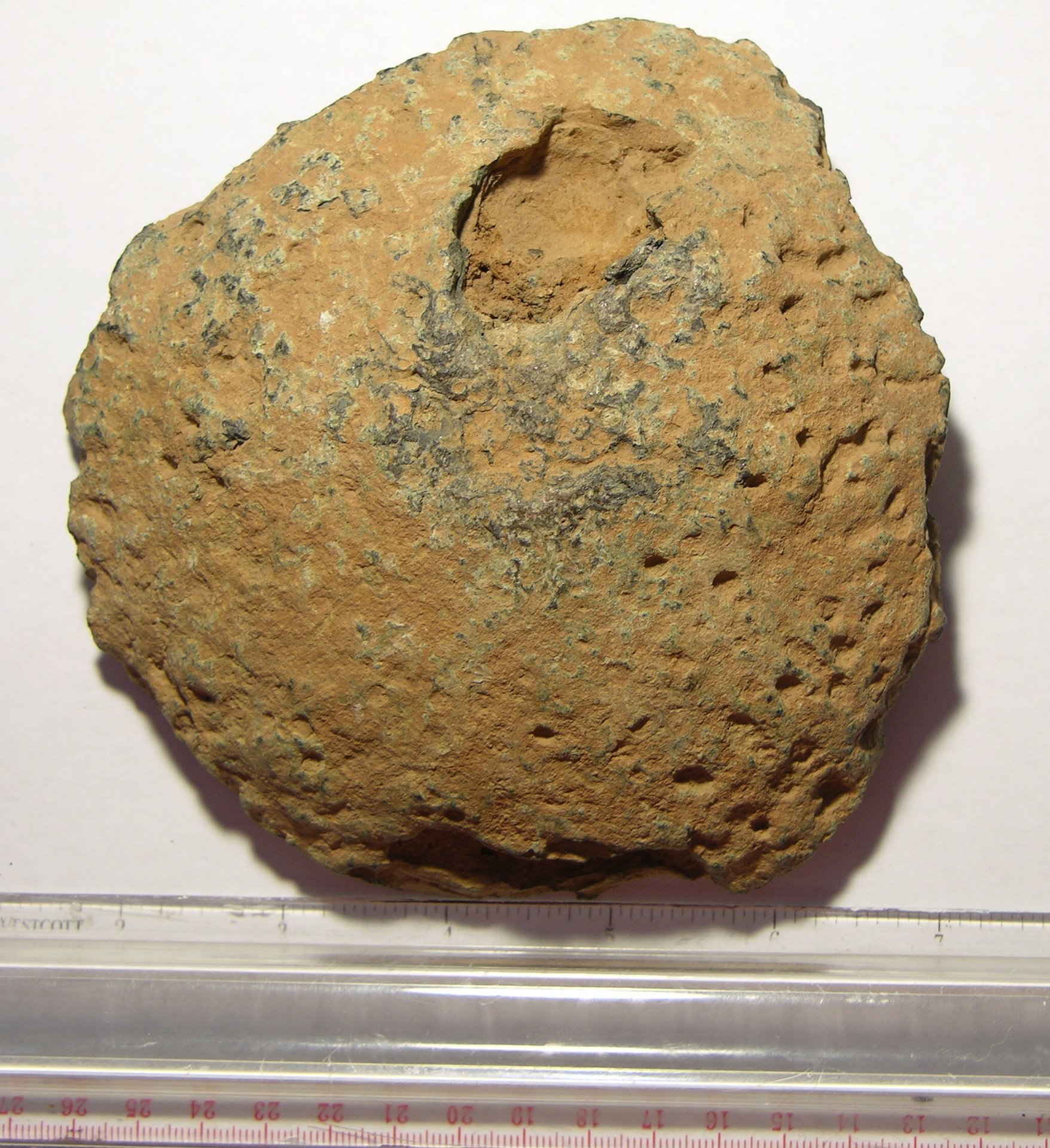 DSCN7127.jpg