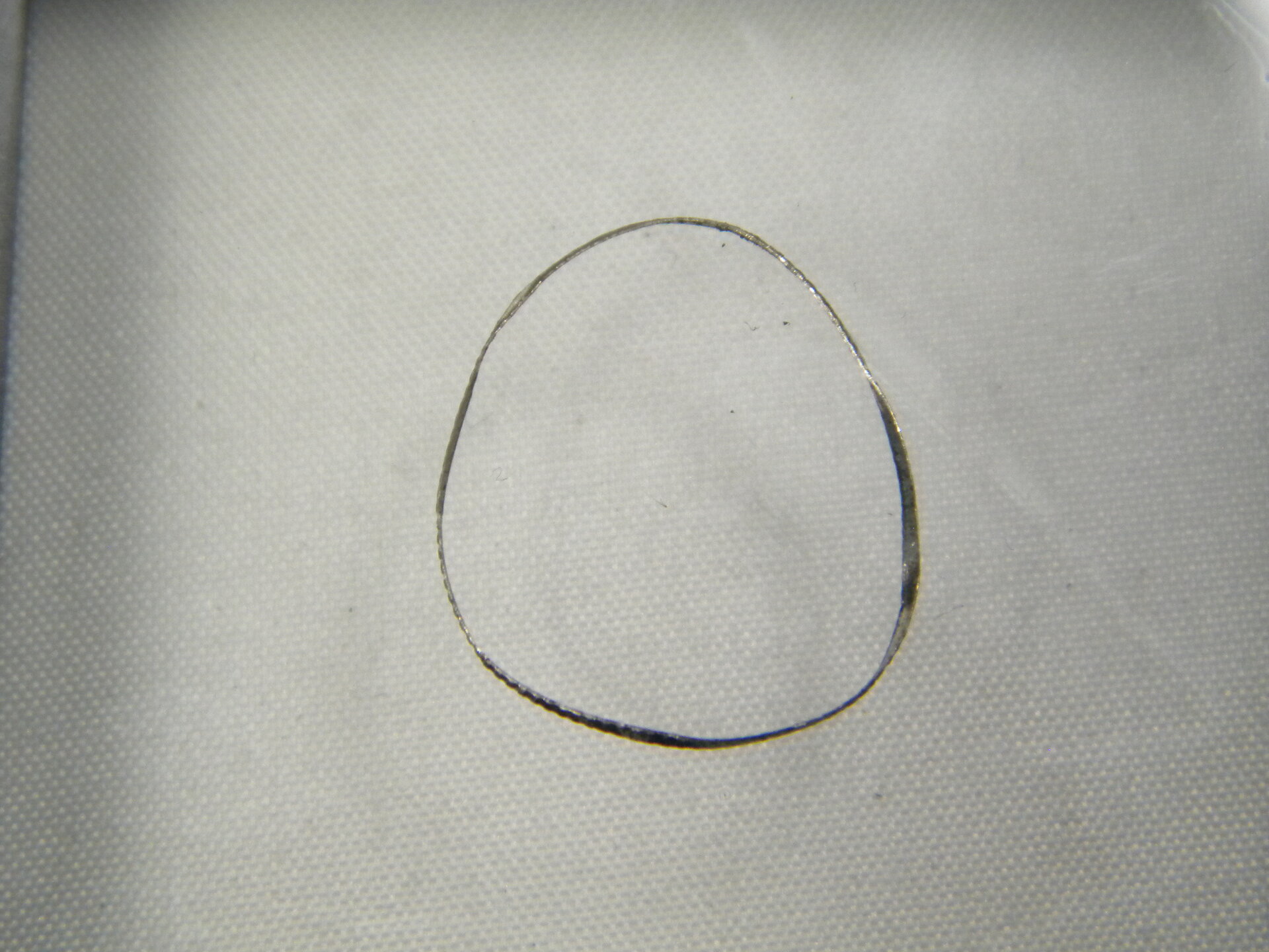 DSCN7281.JPG