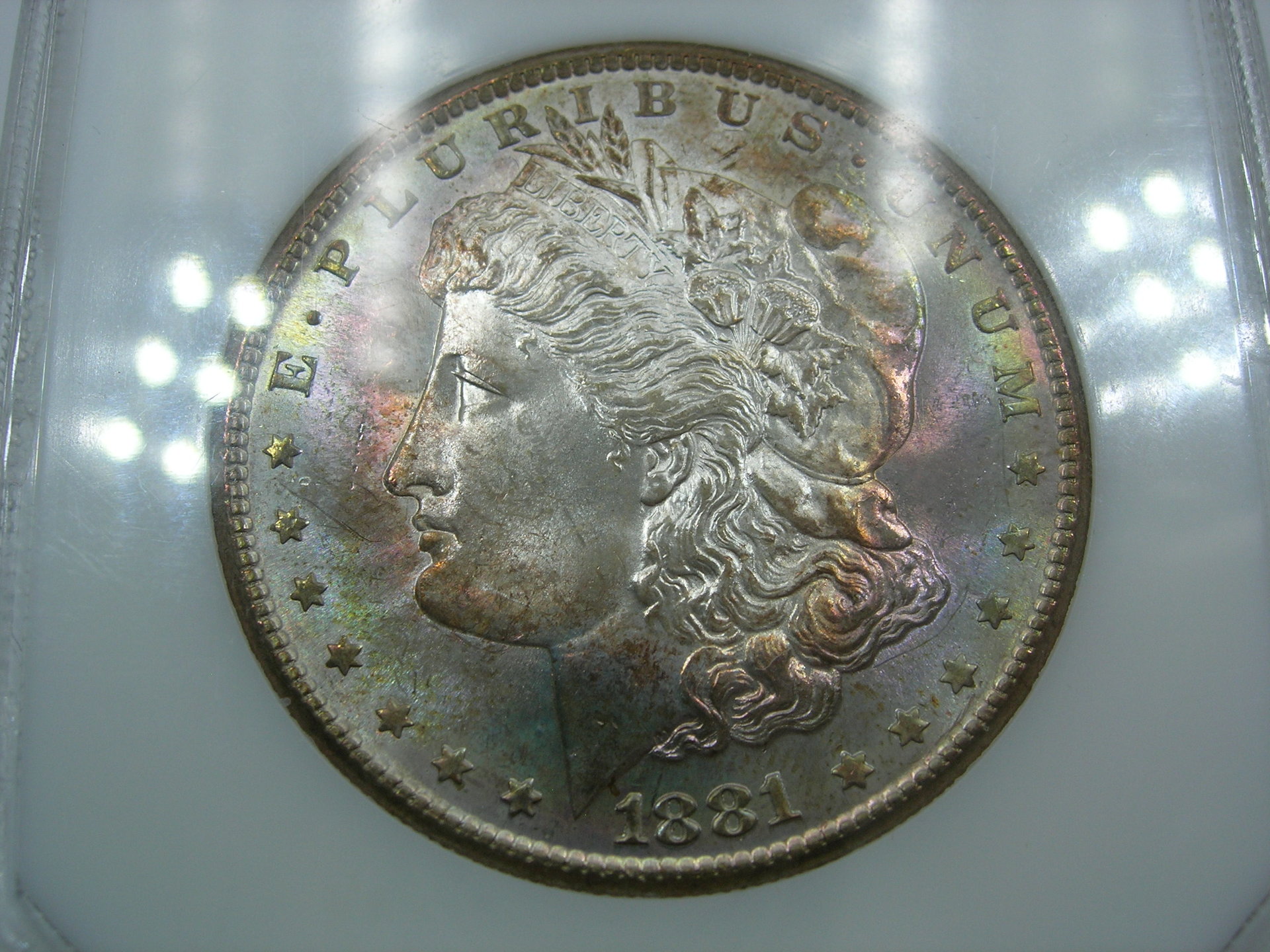 DSCN7307.JPG