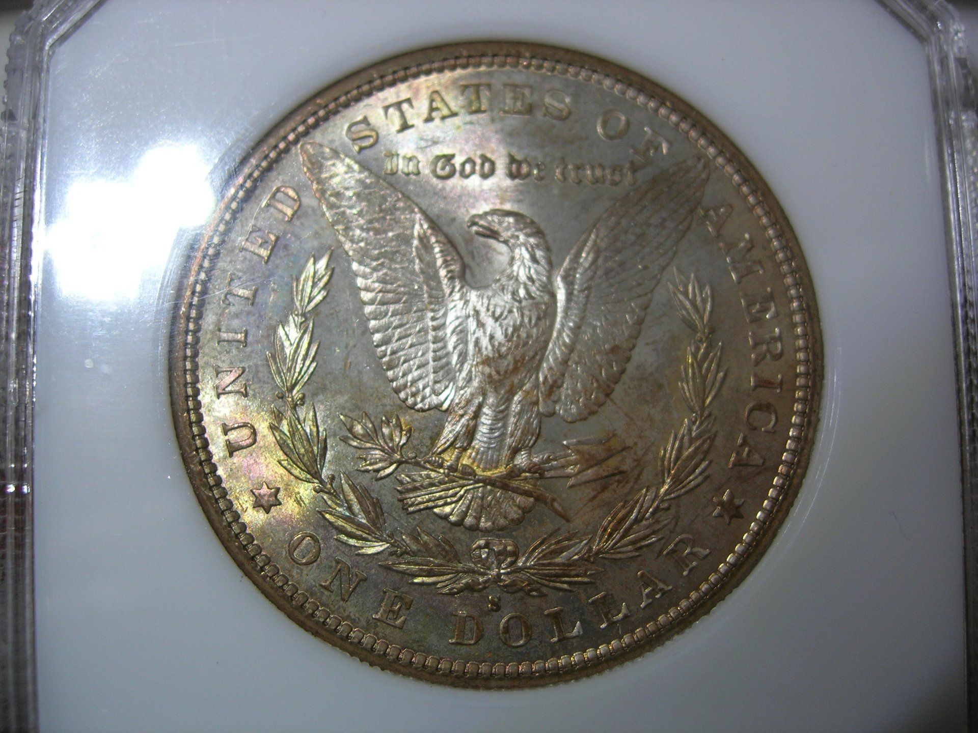 DSCN7312.JPG