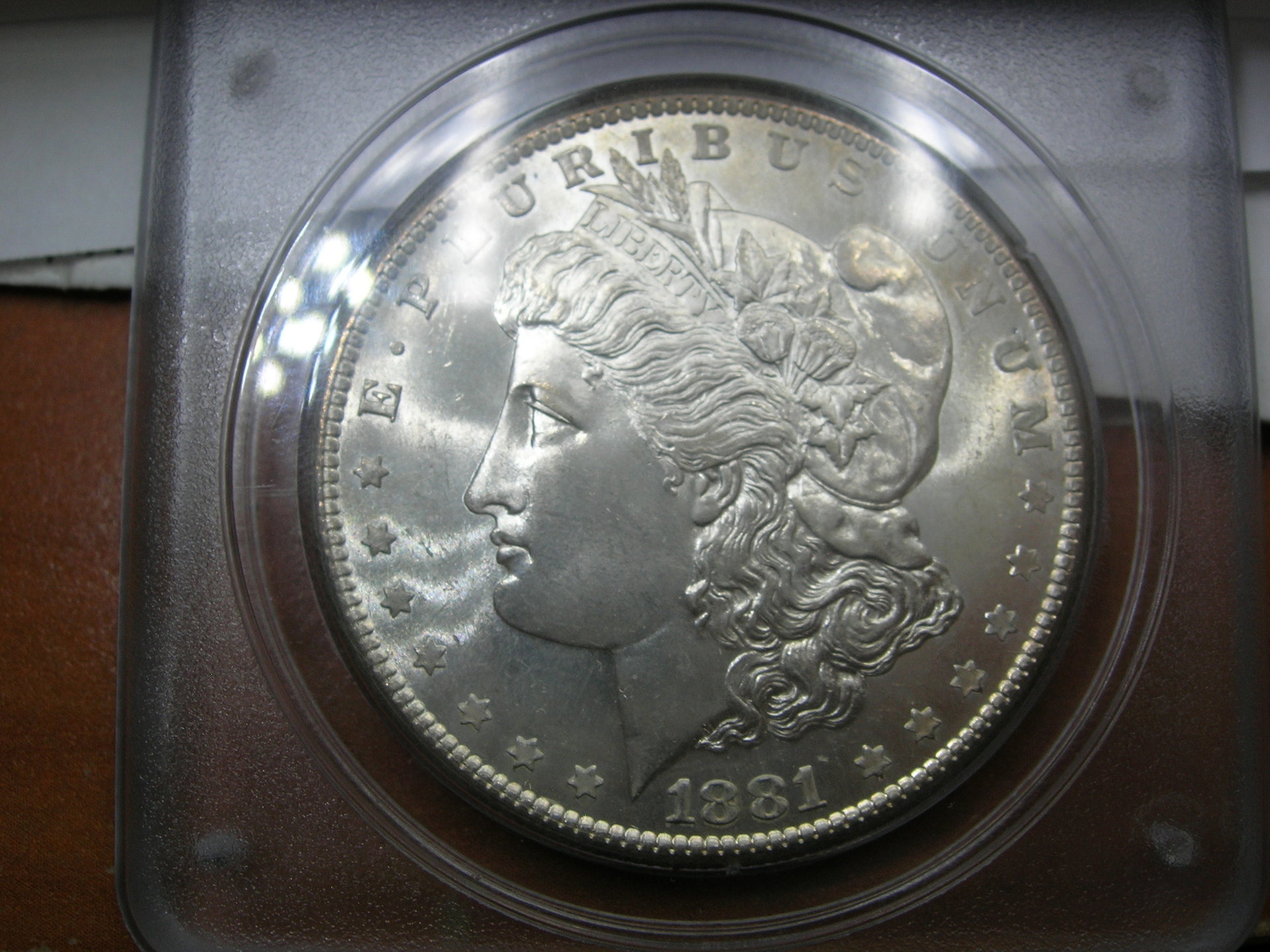 DSCN7313.JPG