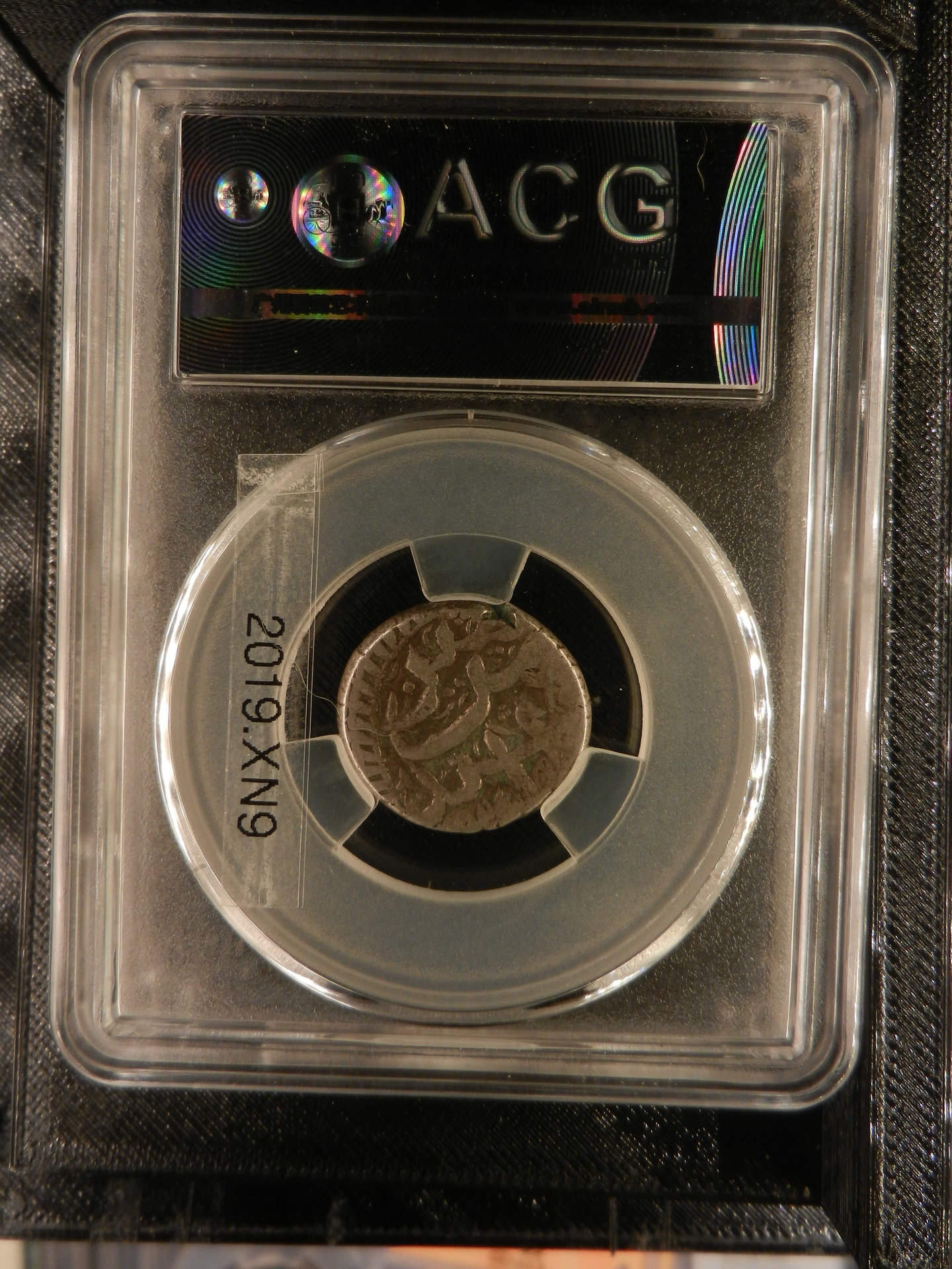 DSCN7353.JPG