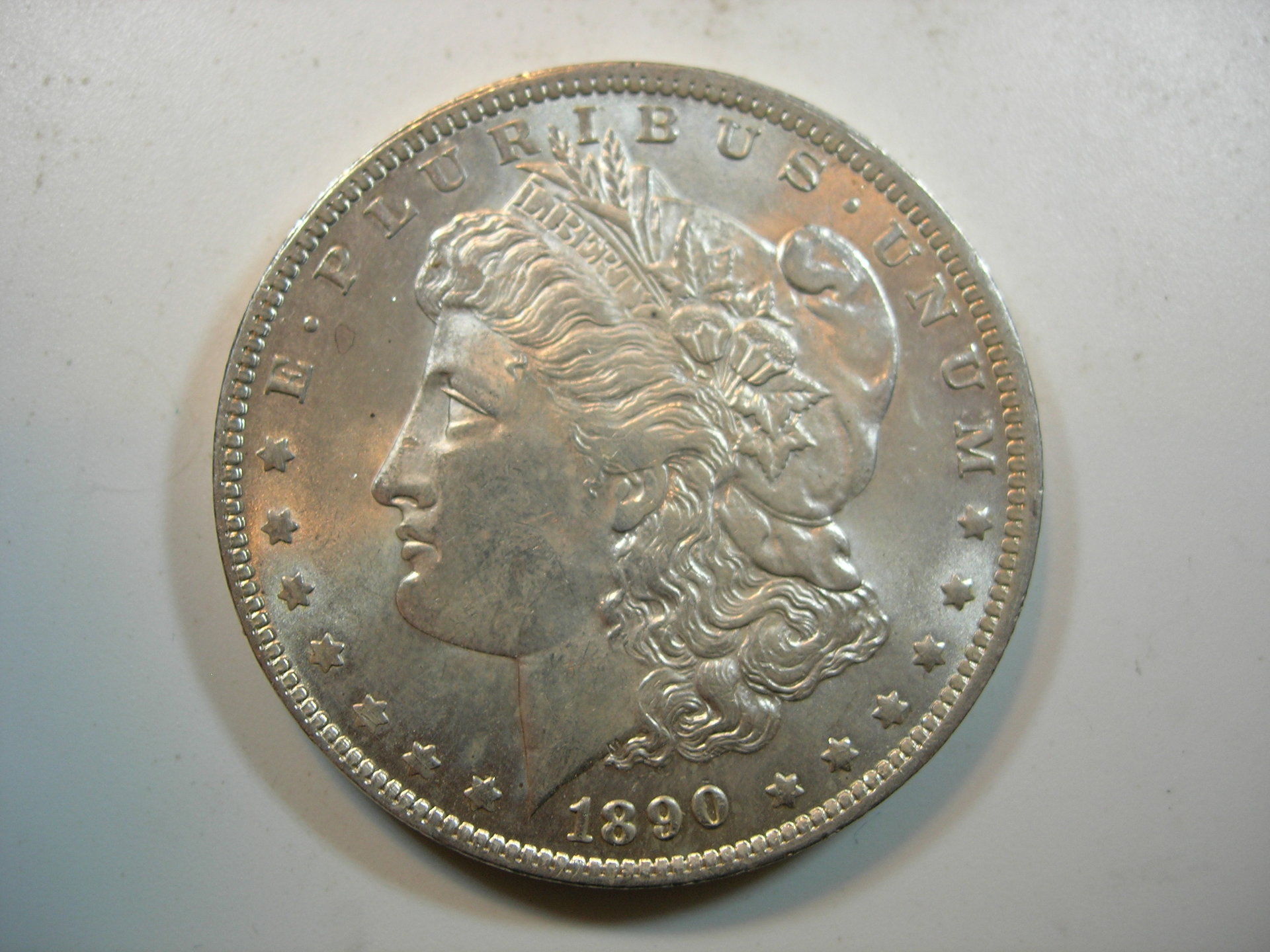 DSCN7359.JPG