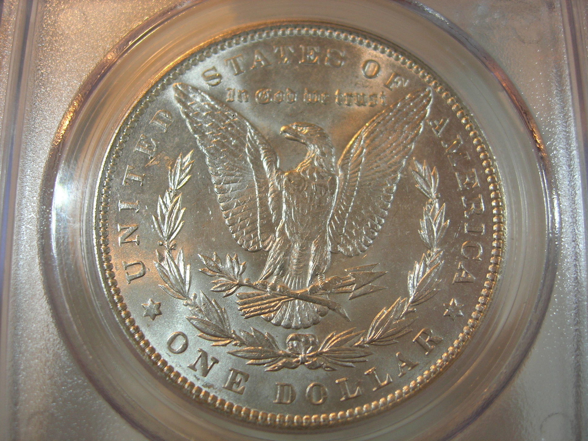 DSCN7375.JPG
