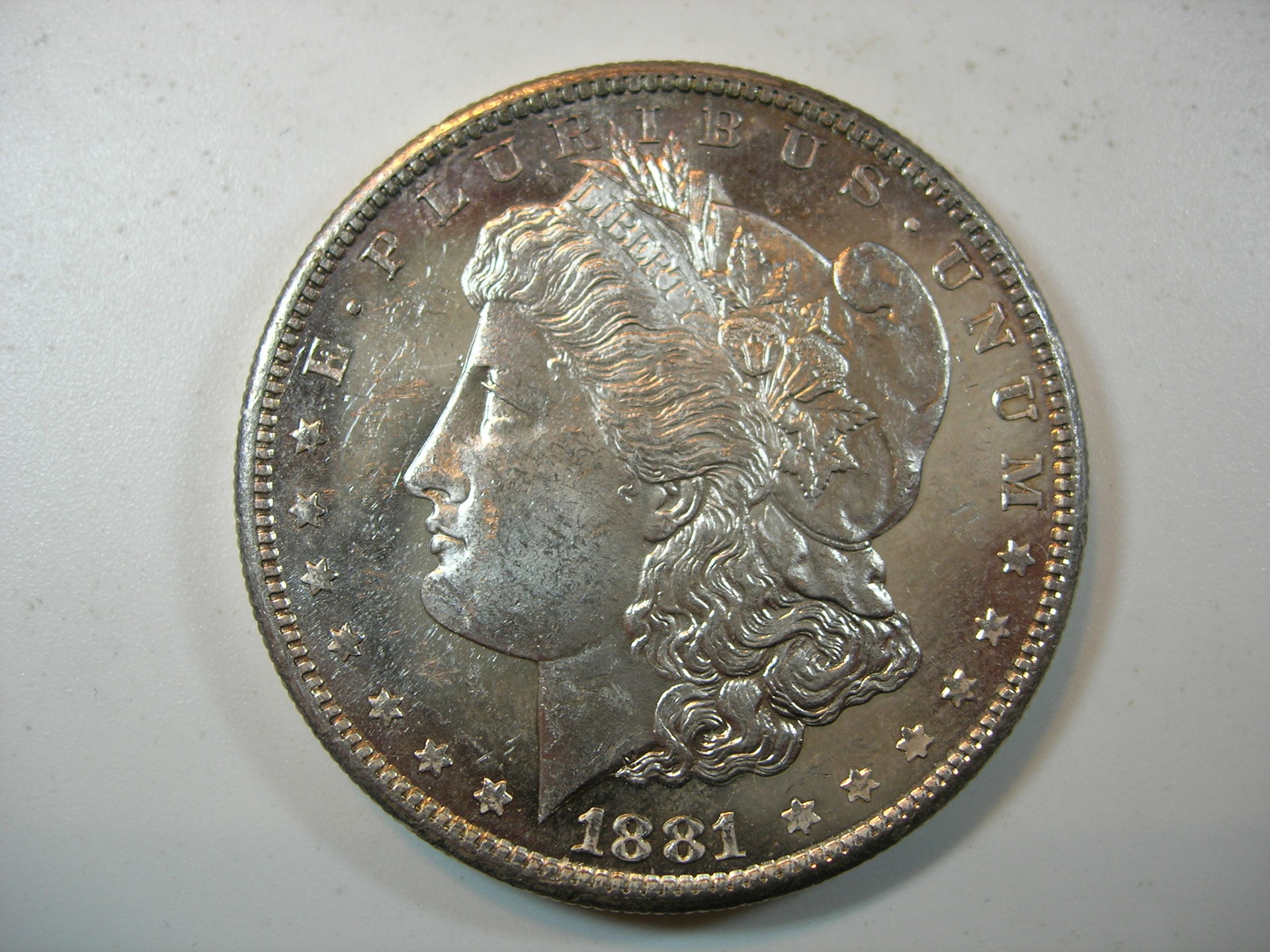 DSCN7378.JPG