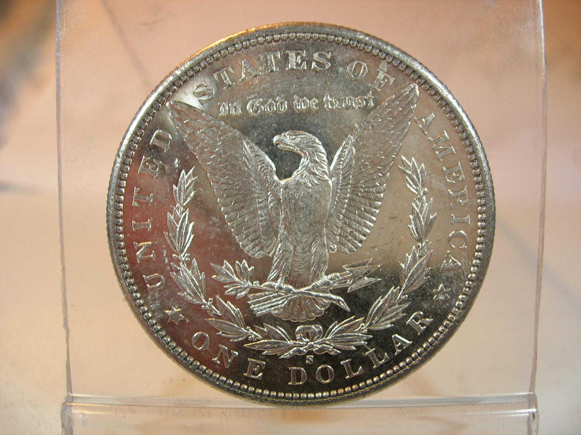 DSCN7380.JPG