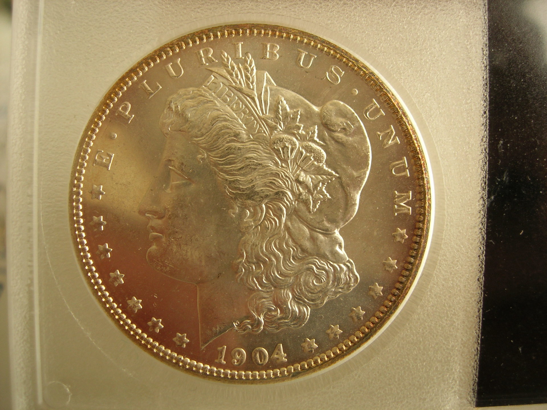 DSCN7398.JPG