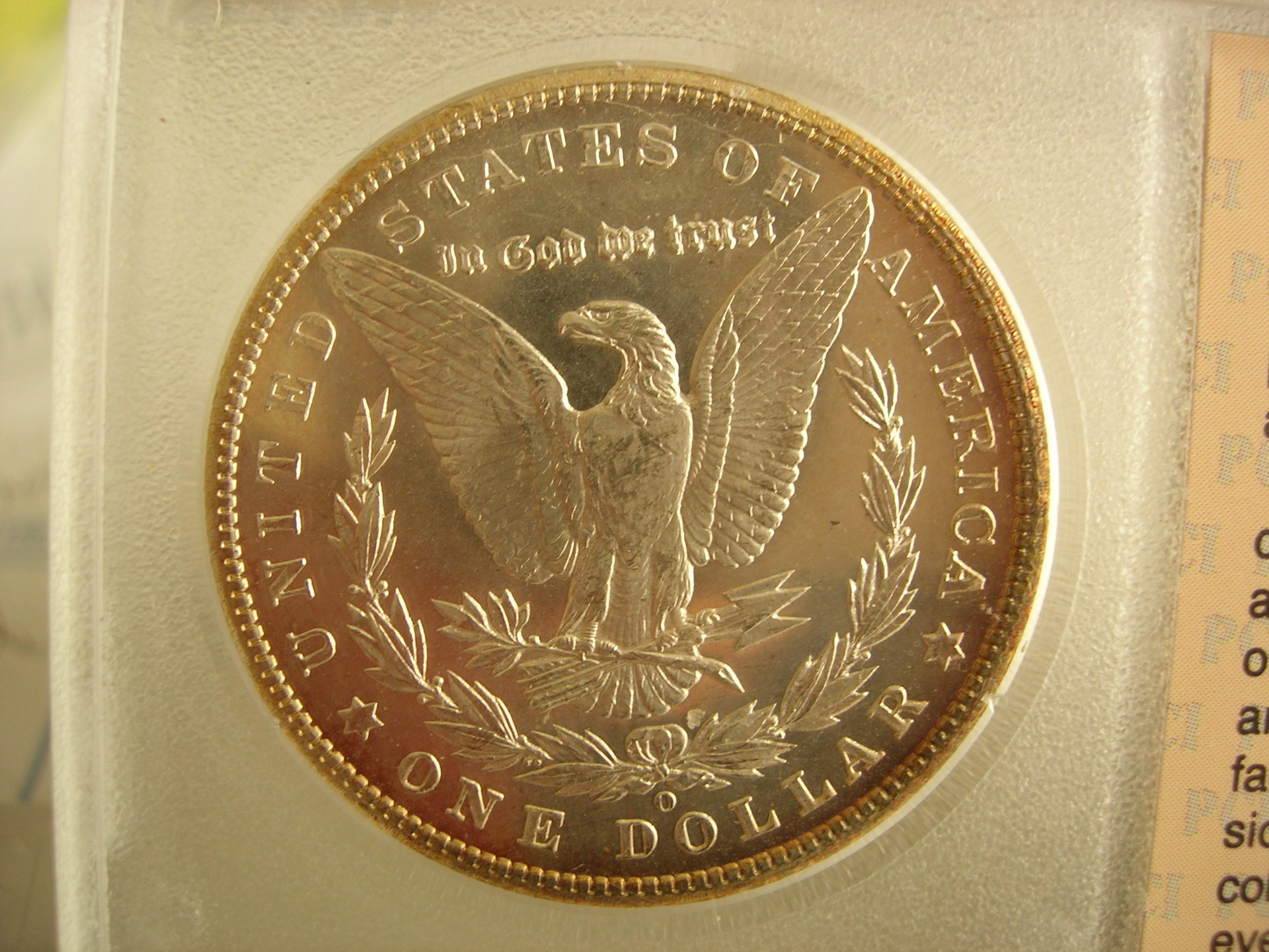 DSCN7399.JPG
