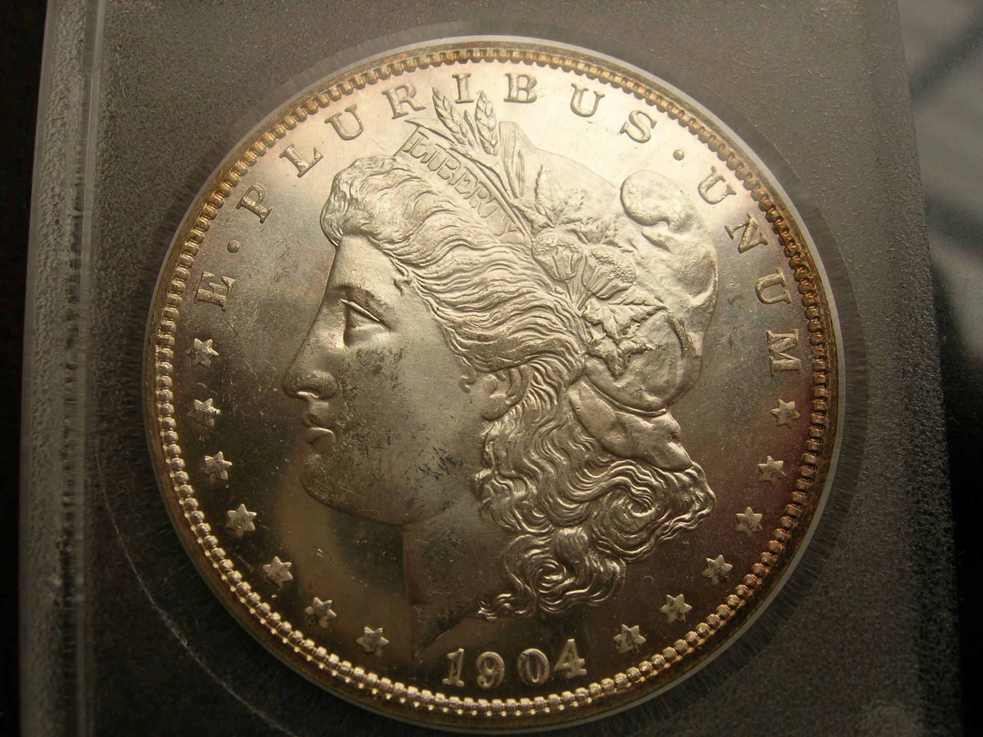 DSCN7401.JPG