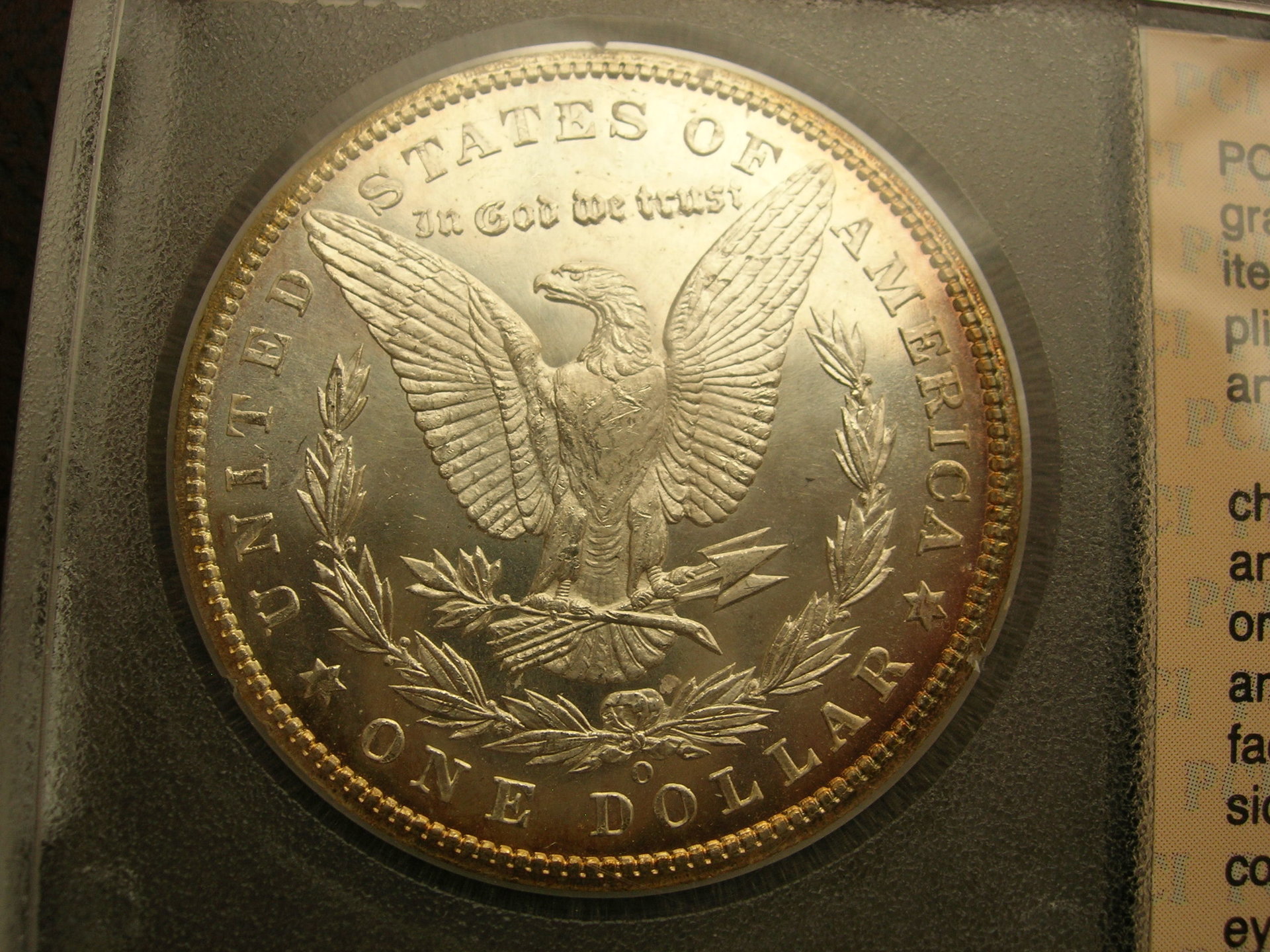 DSCN7402.JPG