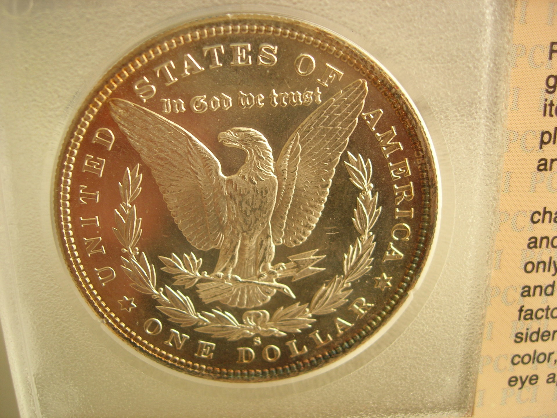 DSCN7404.JPG