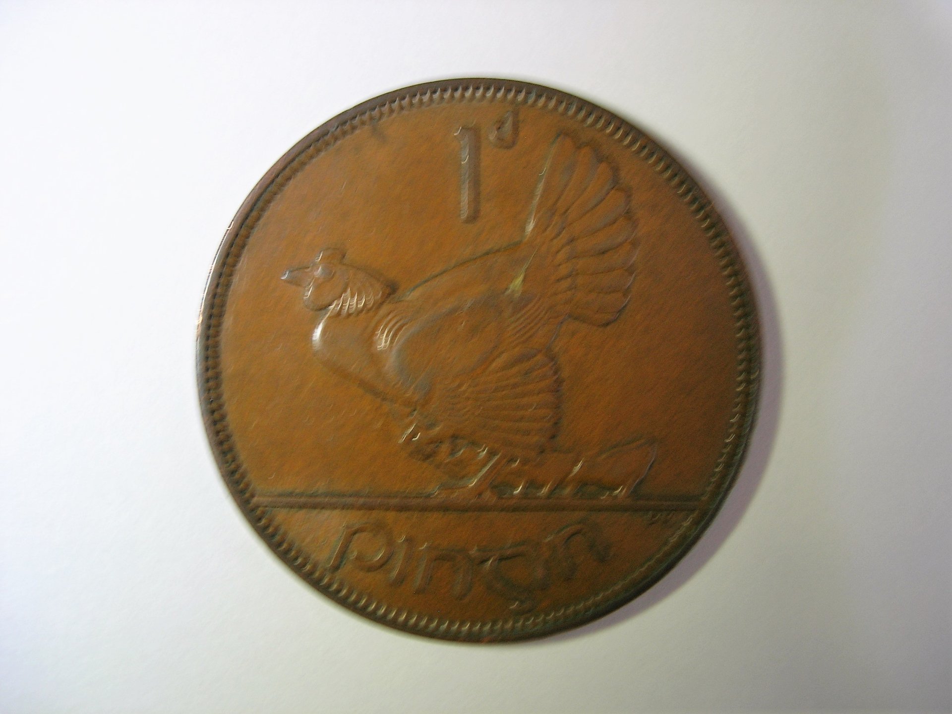 DSCN7461.JPG