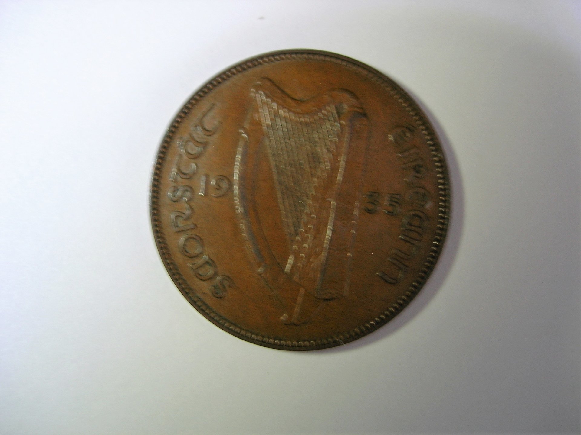 DSCN7462.JPG
