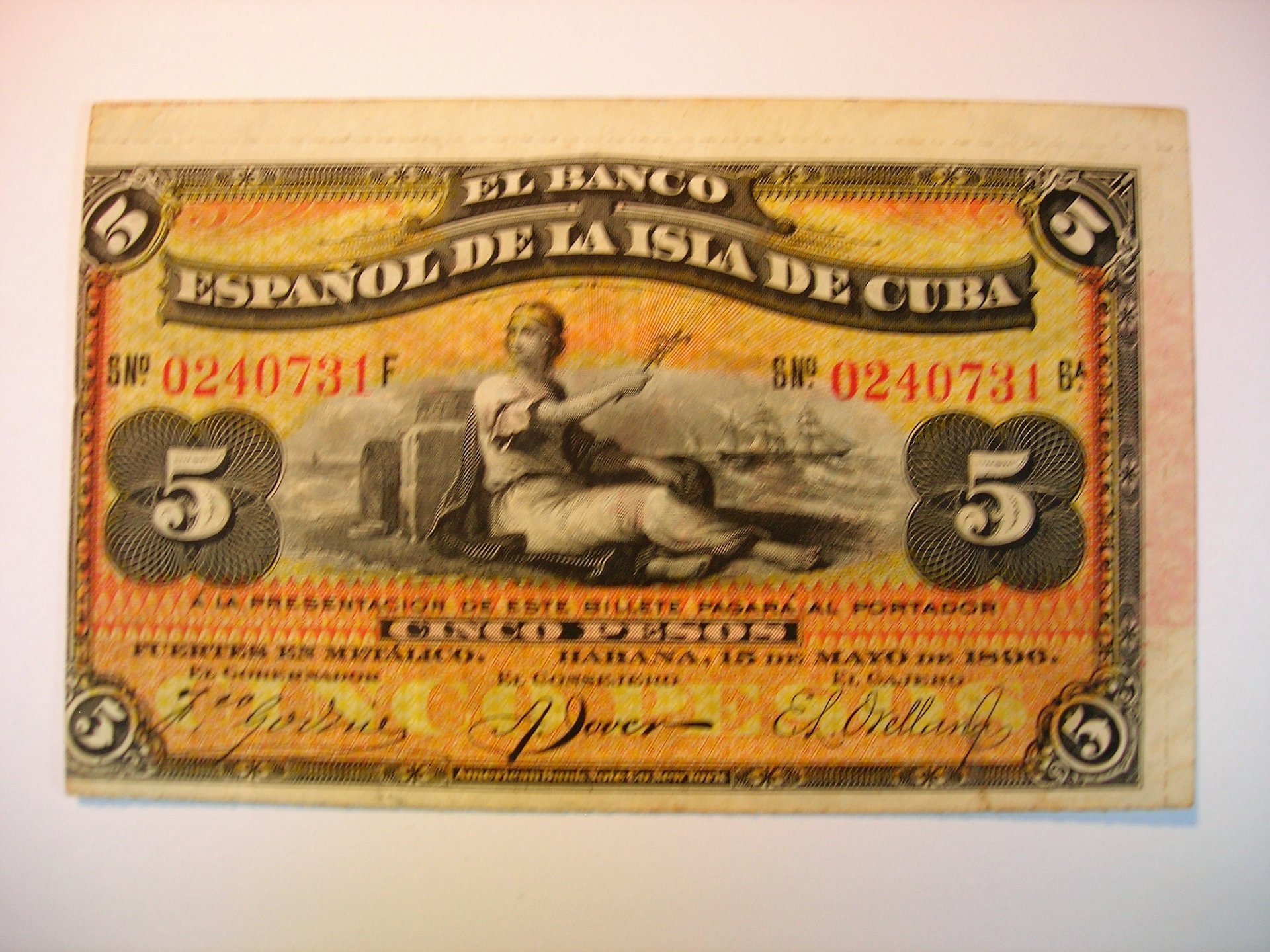DSCN7470.JPG