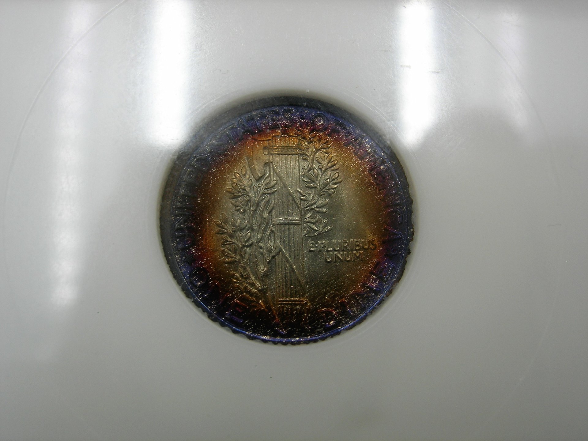 DSCN7672.JPG