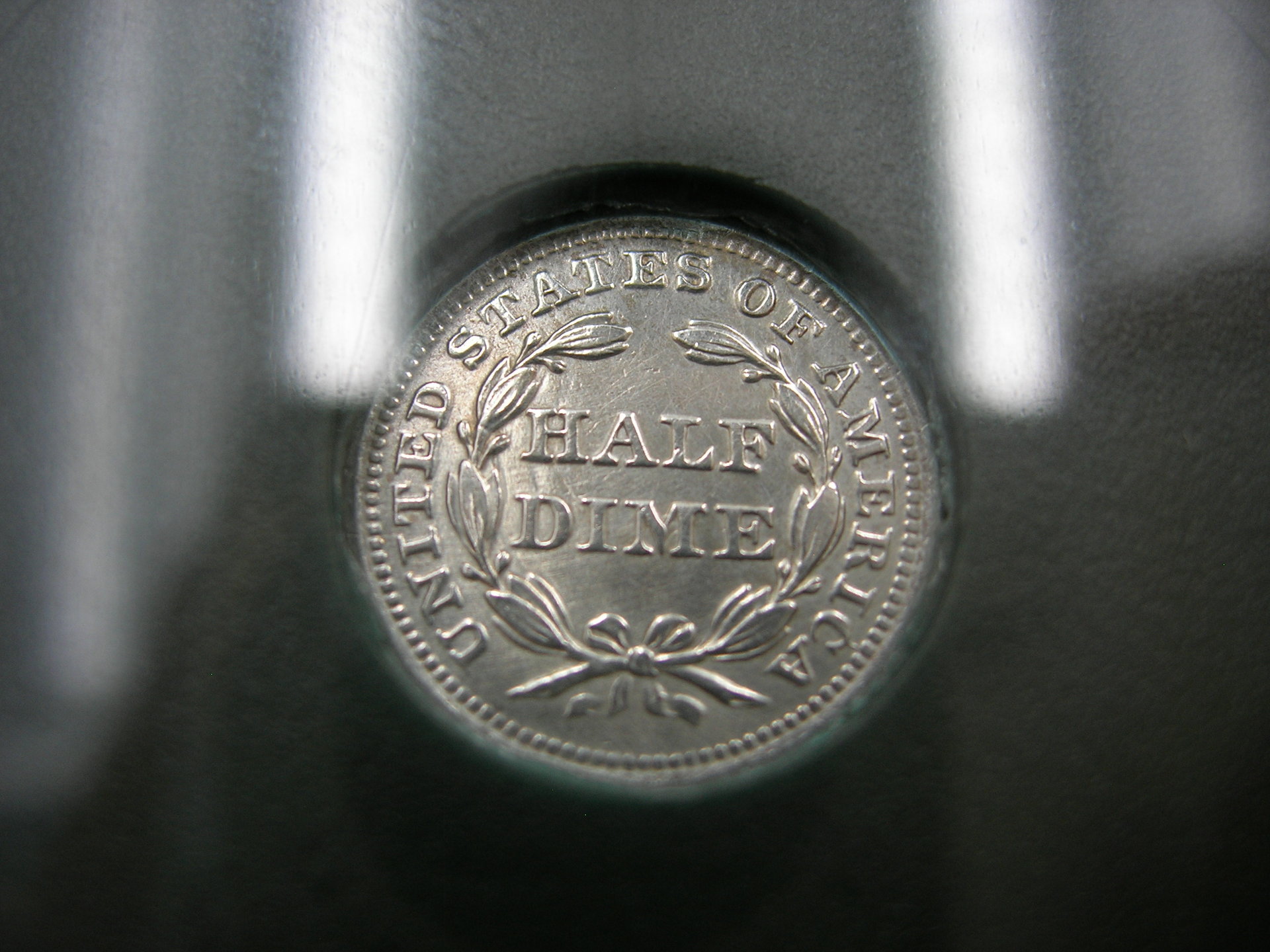 DSCN7678.JPG