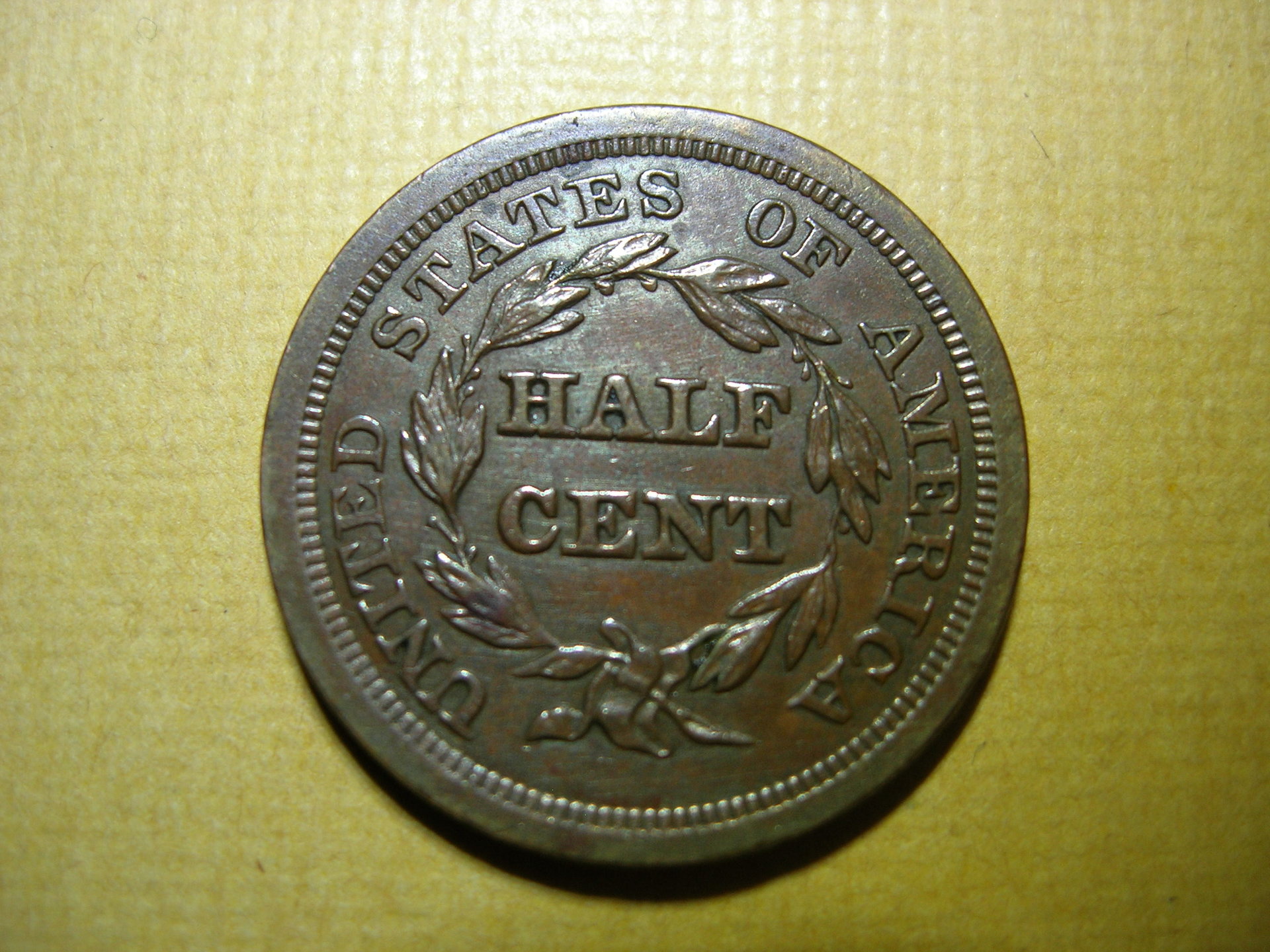 DSCN7702.JPG