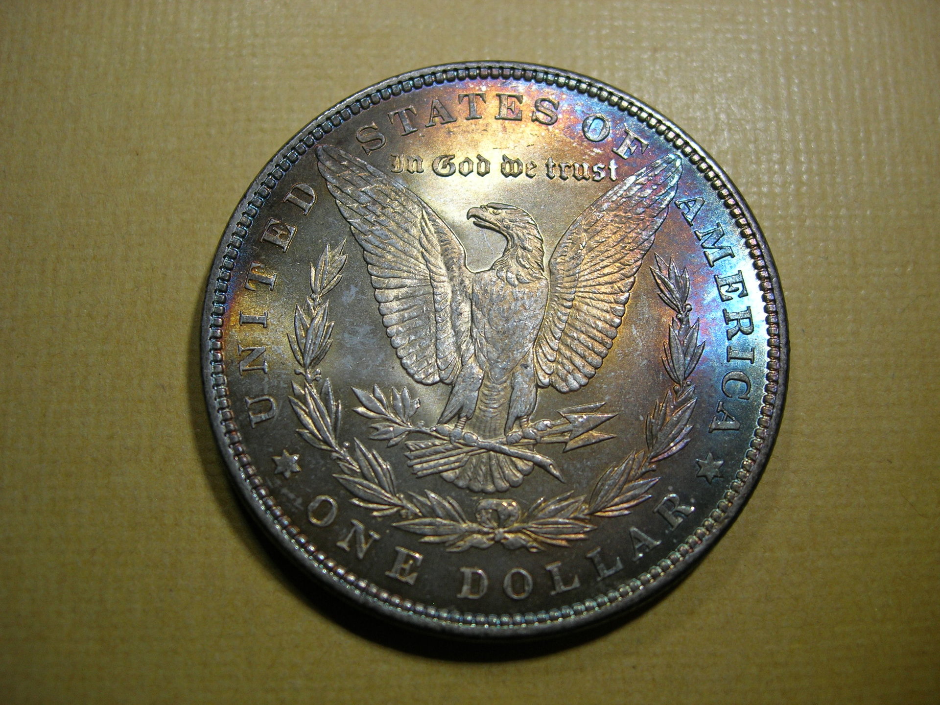 DSCN7703.JPG