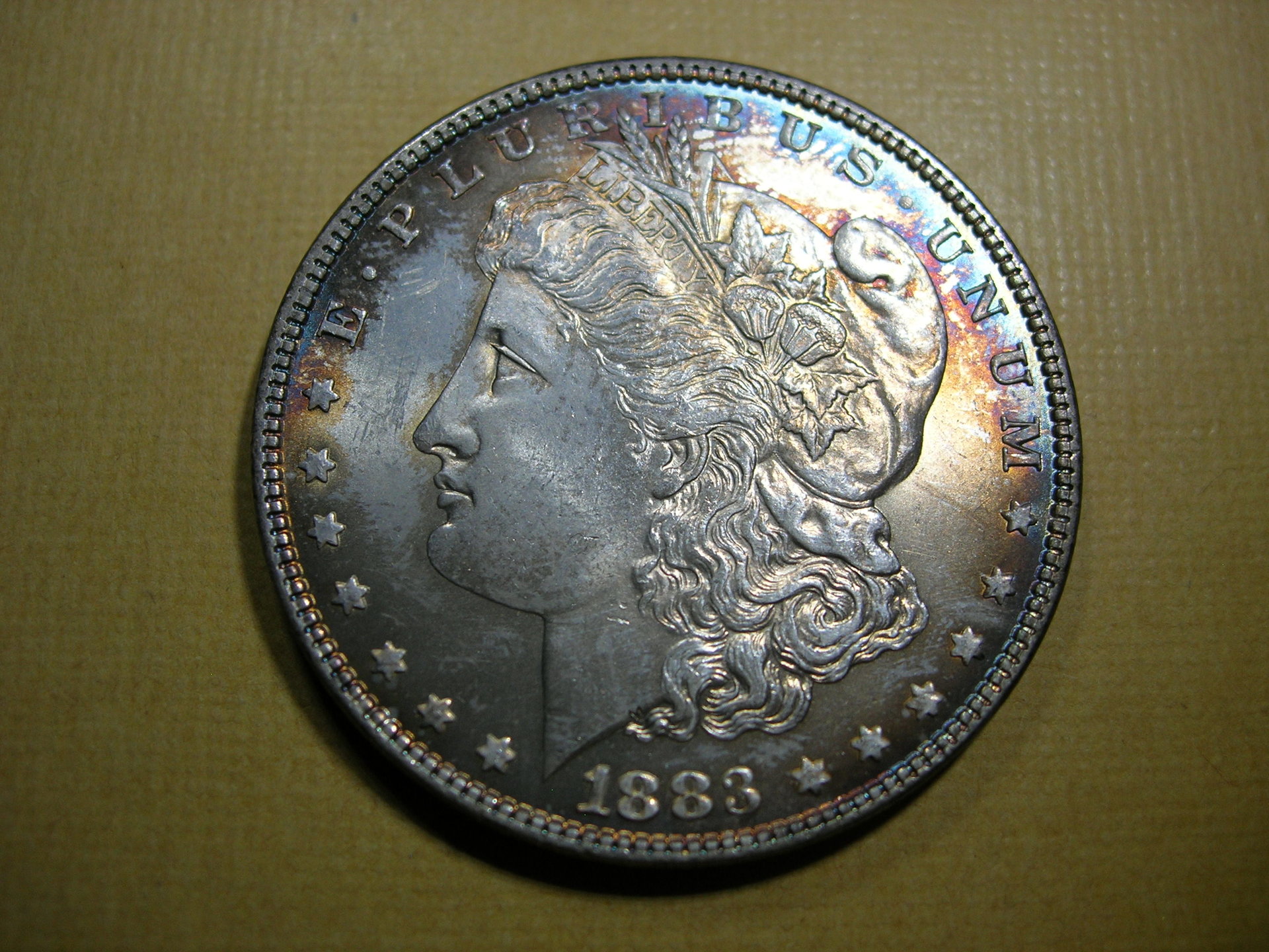 DSCN7704.JPG