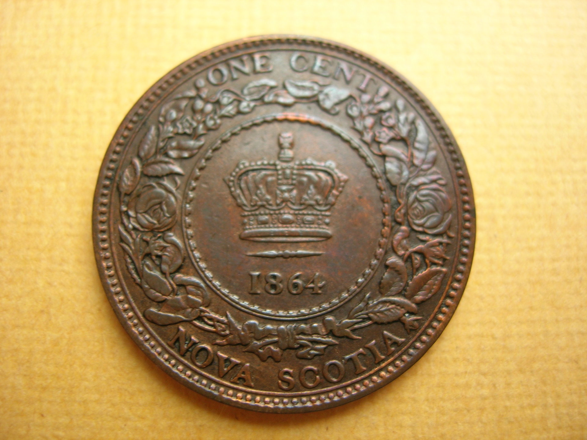 DSCN7712.JPG