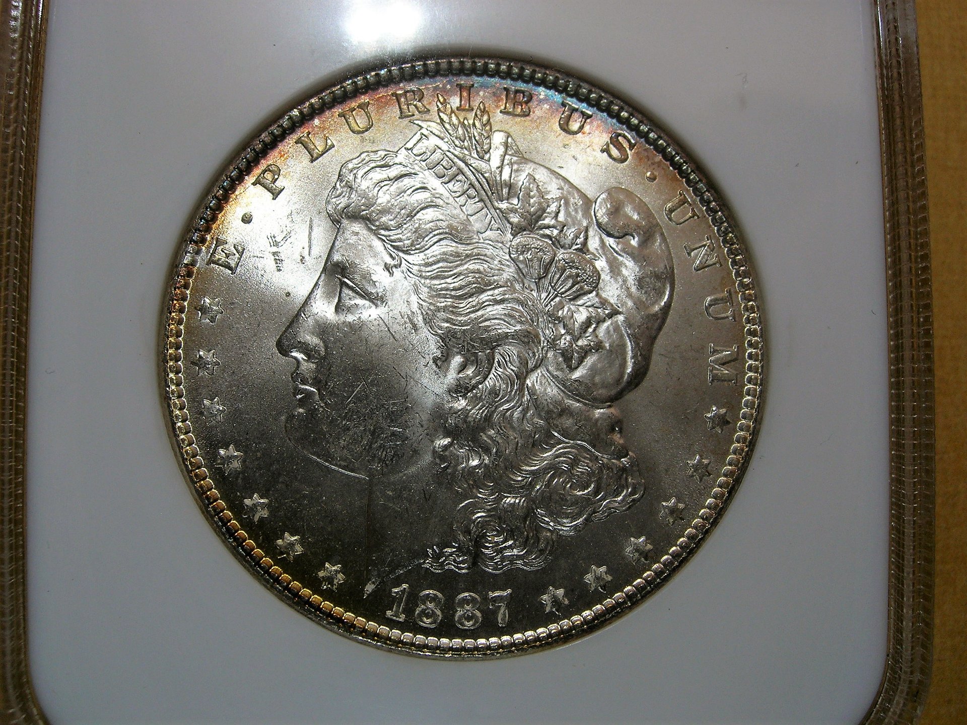 DSCN7770.JPG
