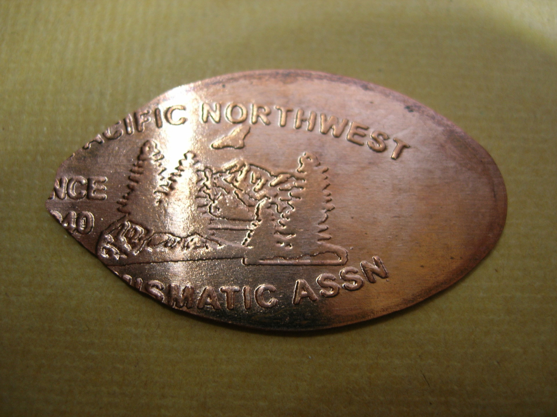 DSCN7785.JPG