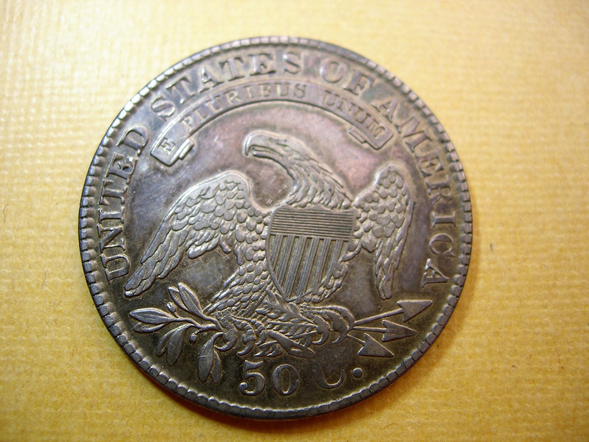 DSCN7795.JPG