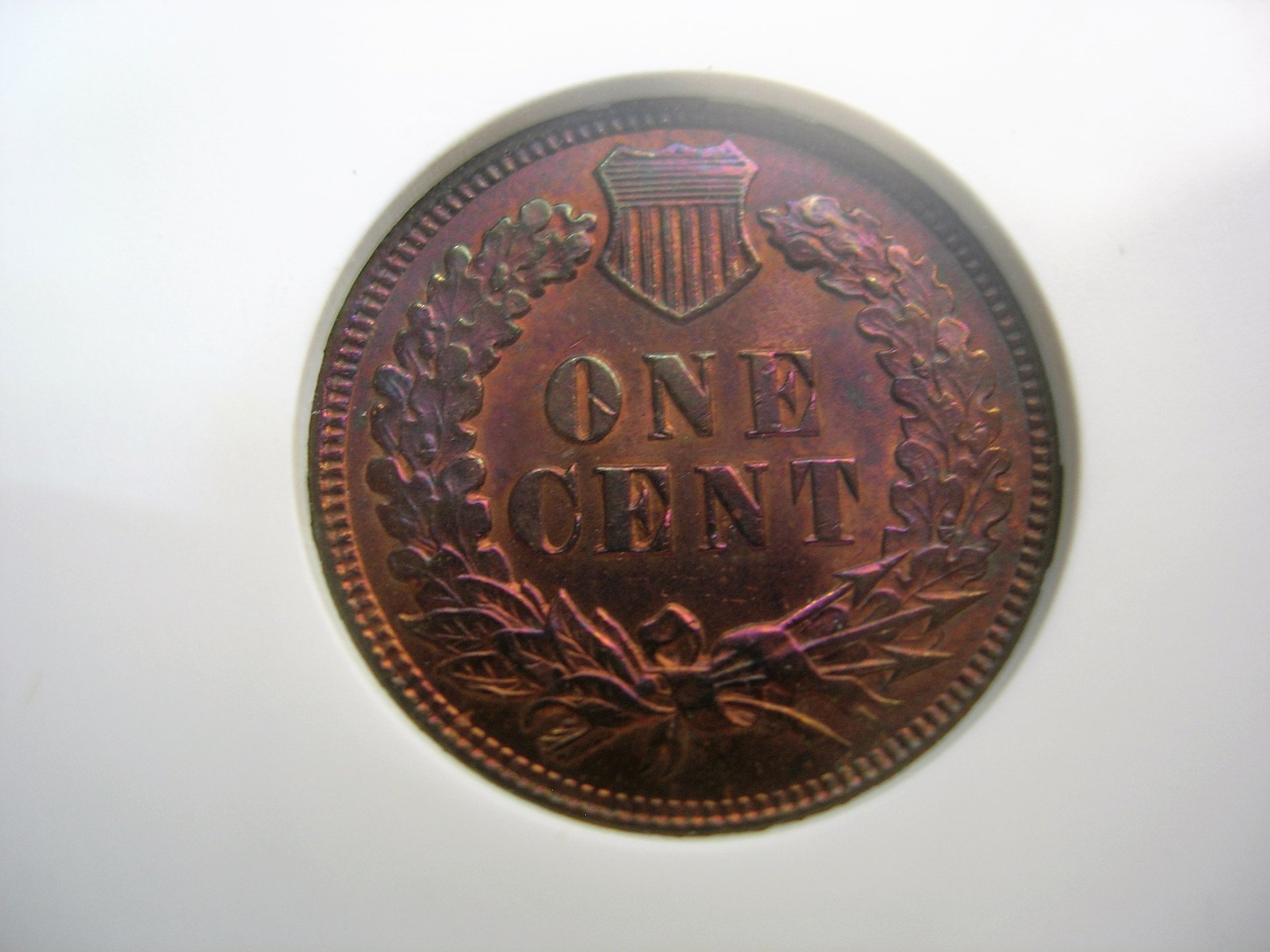 DSCN7815.JPG