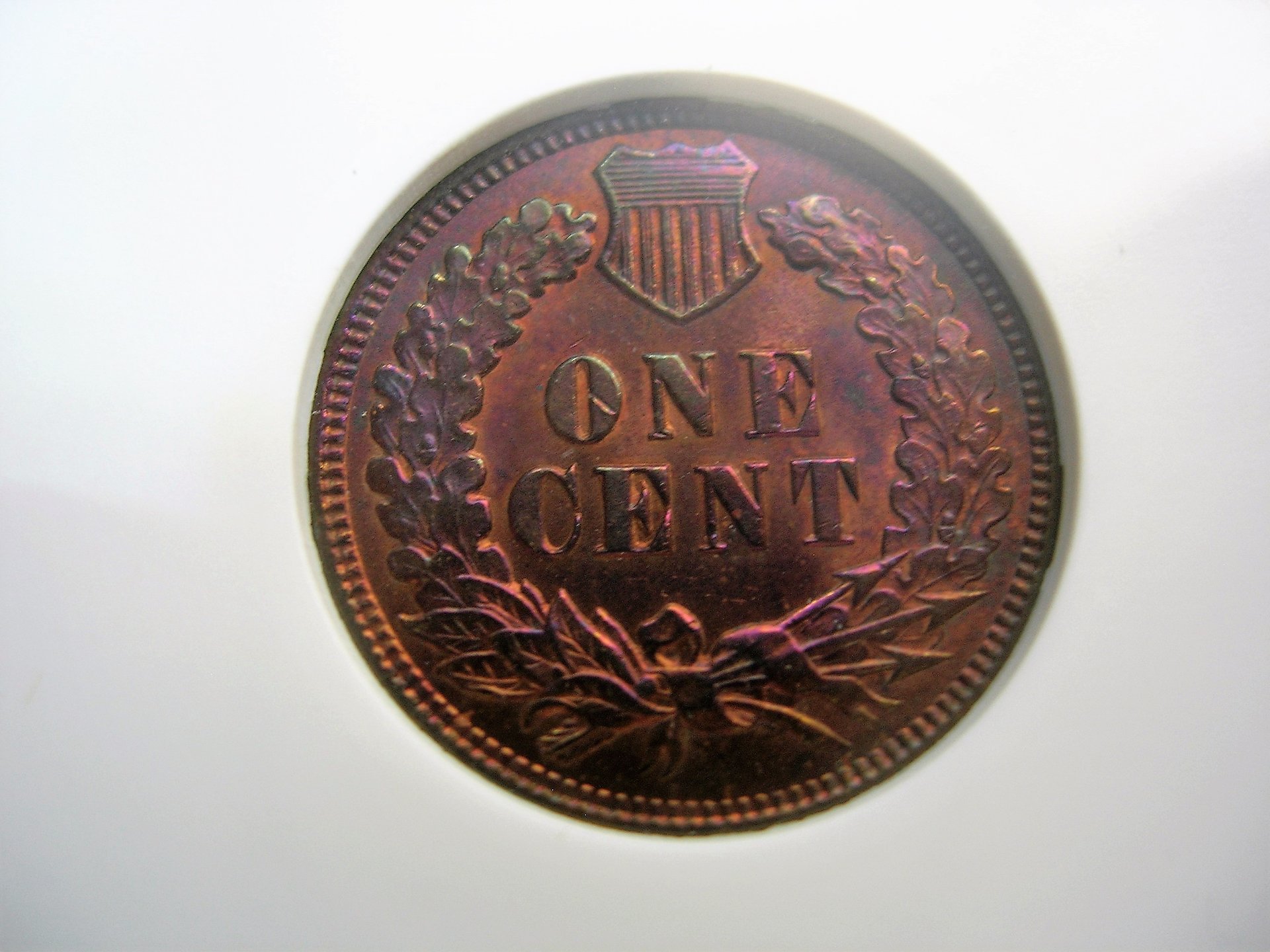 DSCN7815.JPG