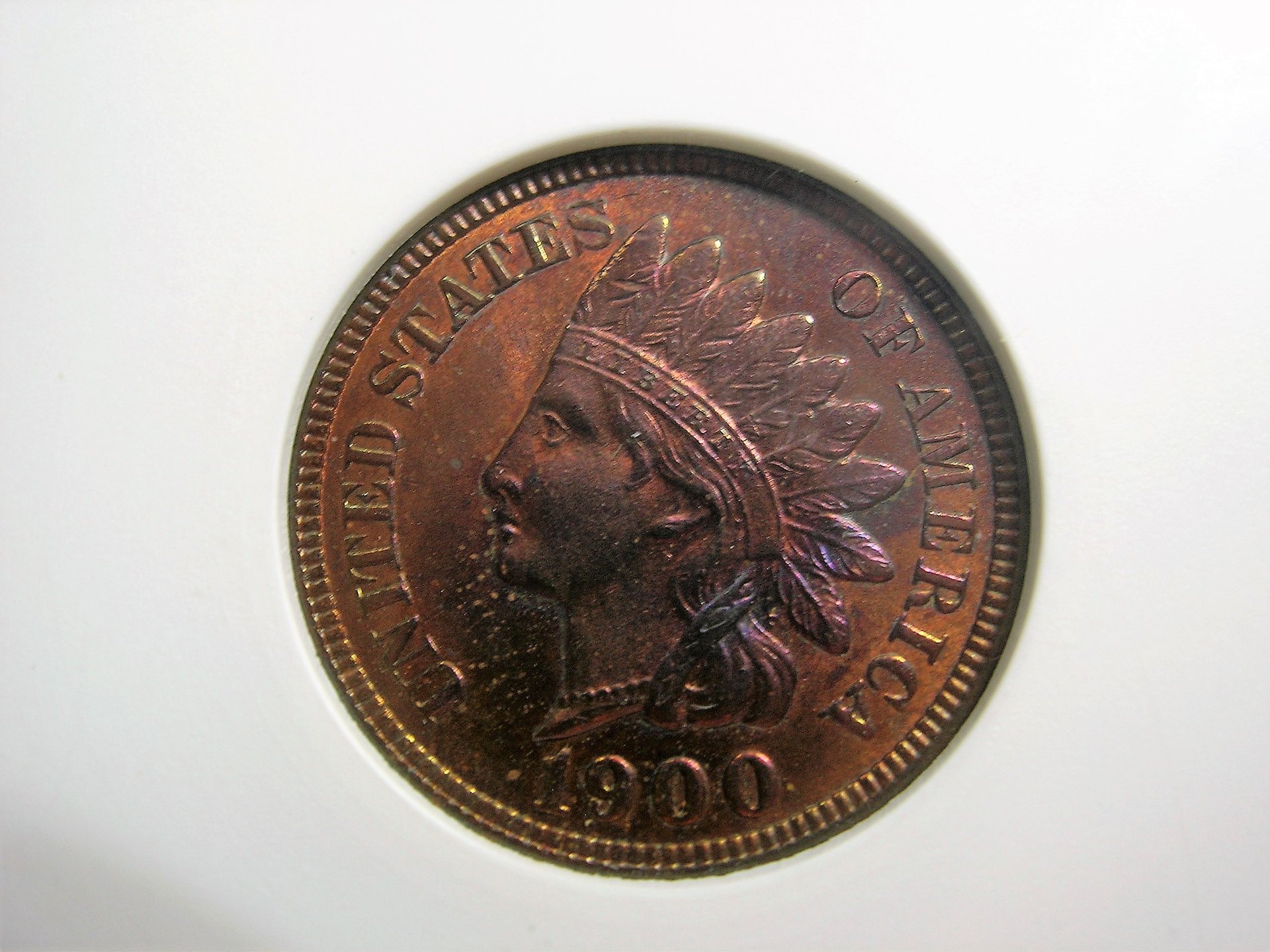 DSCN7819.JPG