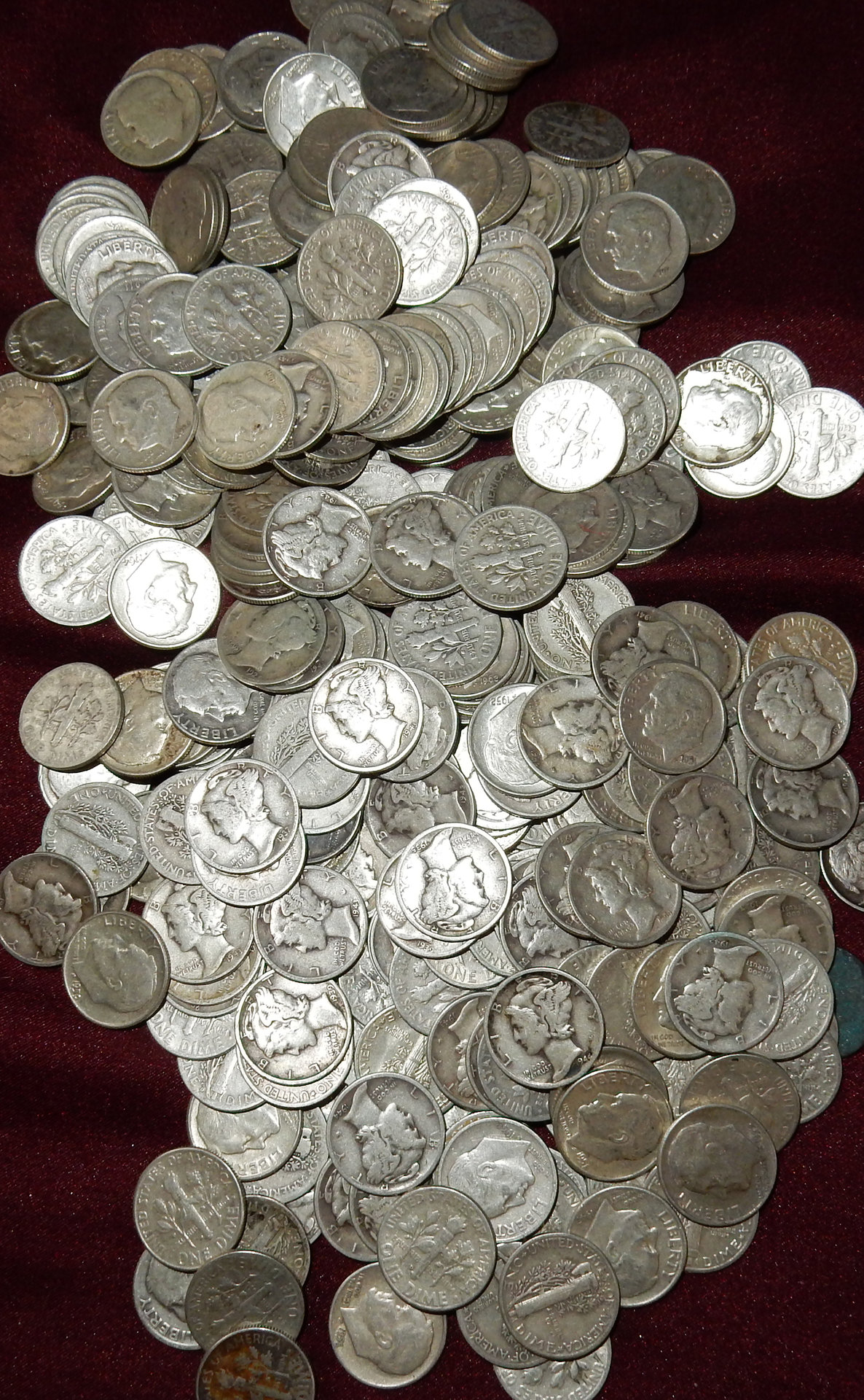 DSCN7835 -cropped.jpg