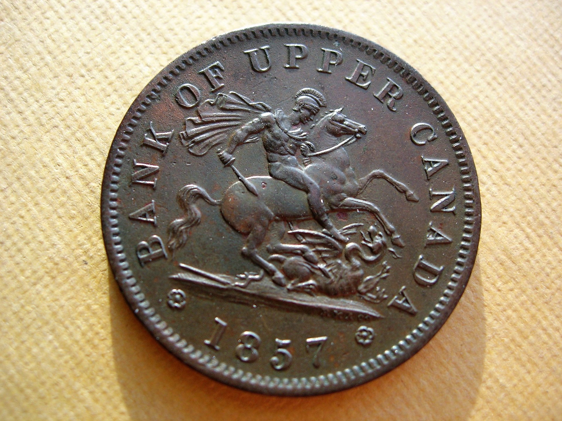 DSCN7844.JPG