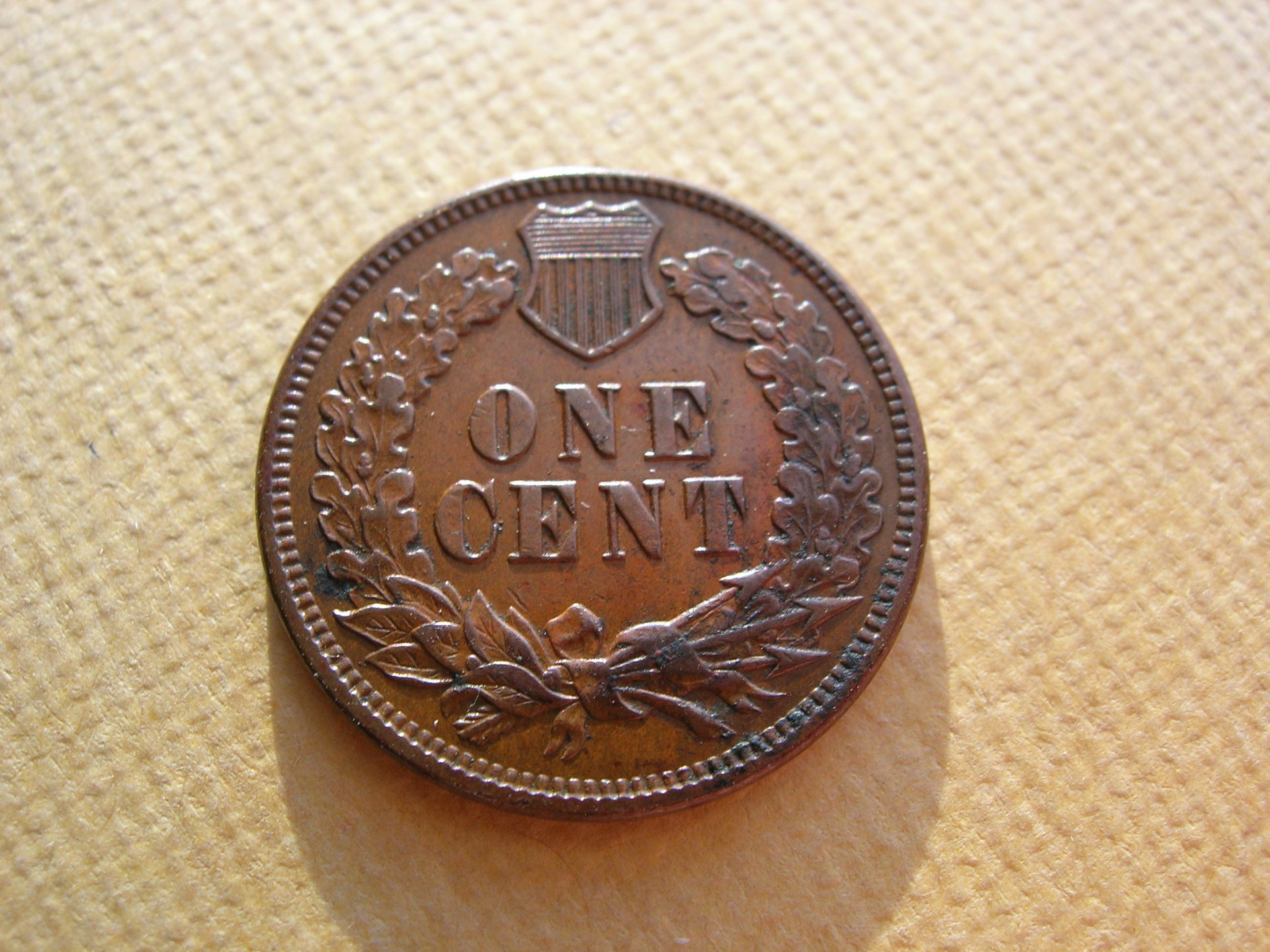 DSCN7854.JPG
