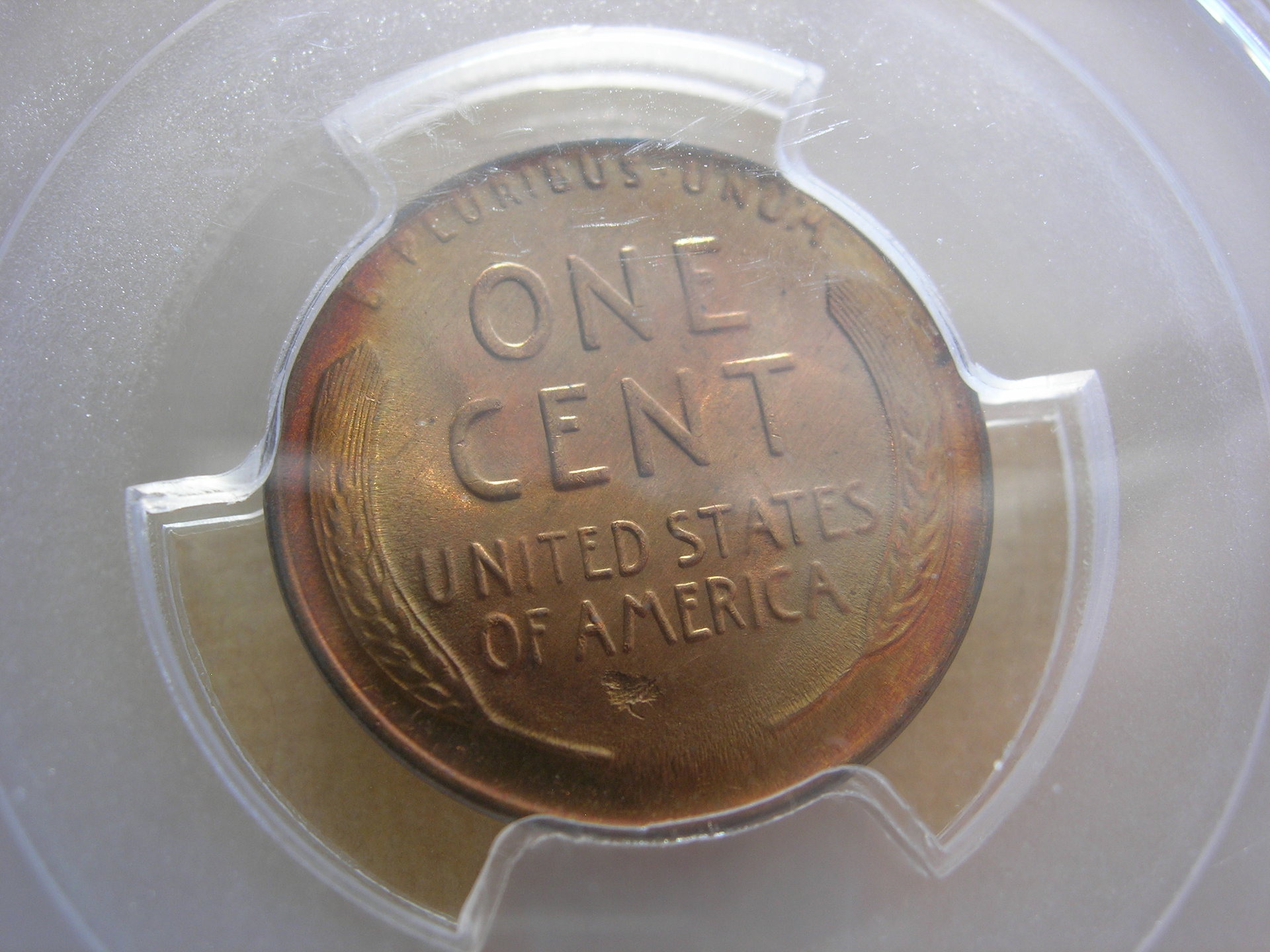 DSCN7856.JPG